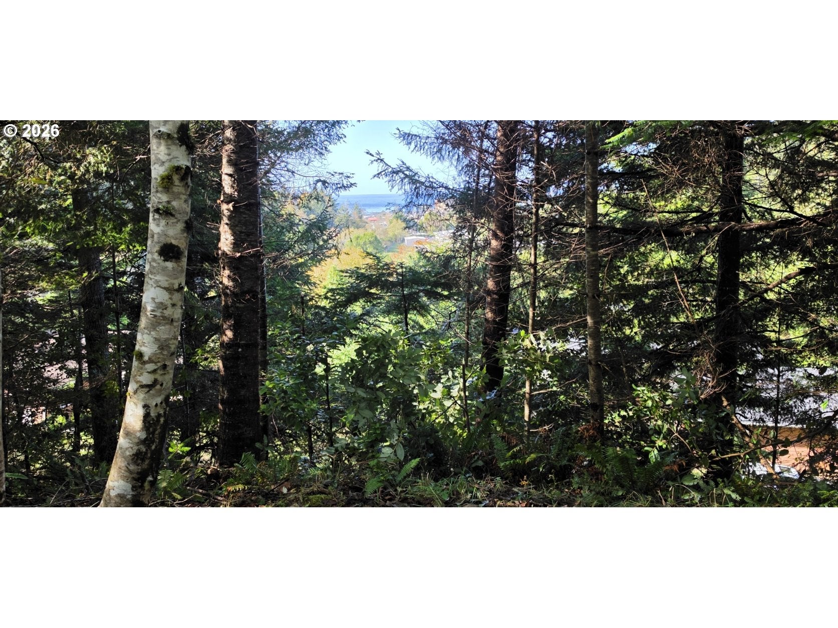 0 Daisy Ln (R20889) 6200