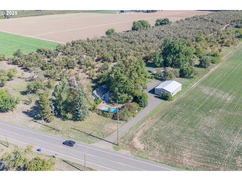 92815 RIVER RD Junction City OR 97448