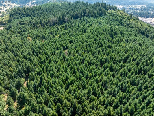 W 2ND ST, OAKRIDGE, OR 97463 - Image e06f11eae5bda3240ff35febee64d21f/3699526677