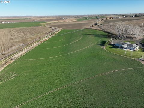 4665 Sheffield RD Mesa WA 99343