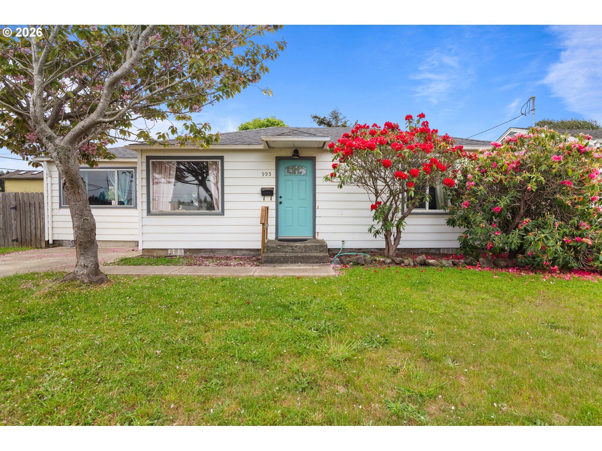 993 SALMON AVE