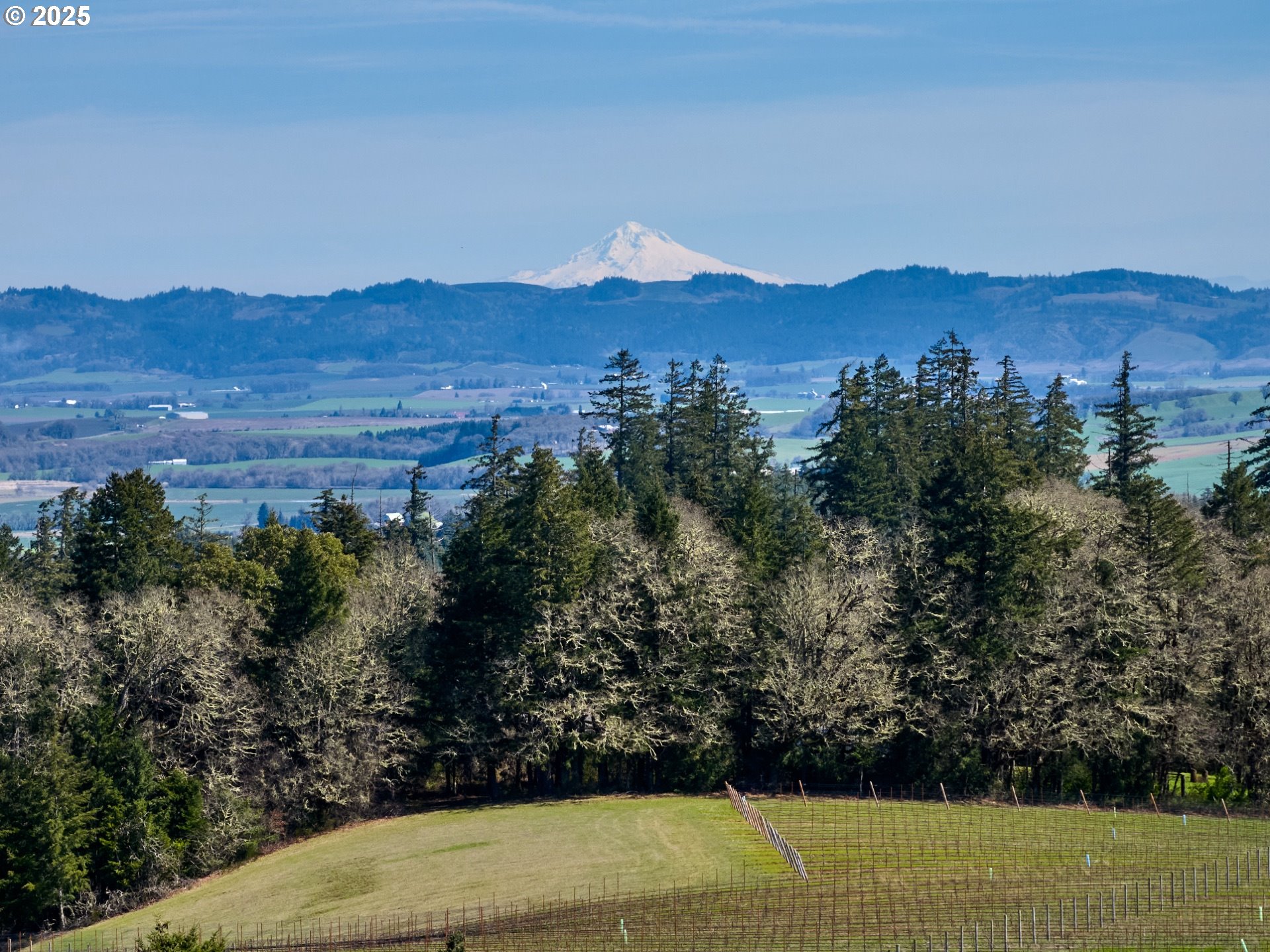 Dallas, Oregon 97338, United States, 4 Bedrooms Bedrooms, ,4 BathroomsBathrooms,Residential,Active,102555
