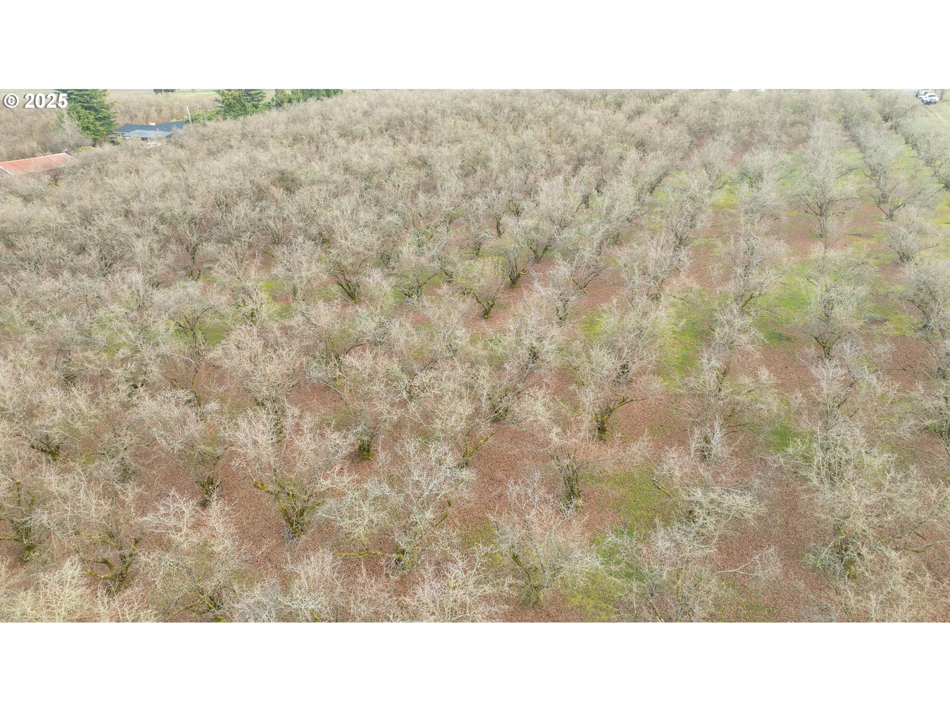 Cornelius, Oregon 97113, United States, ,Residential,Active,98337