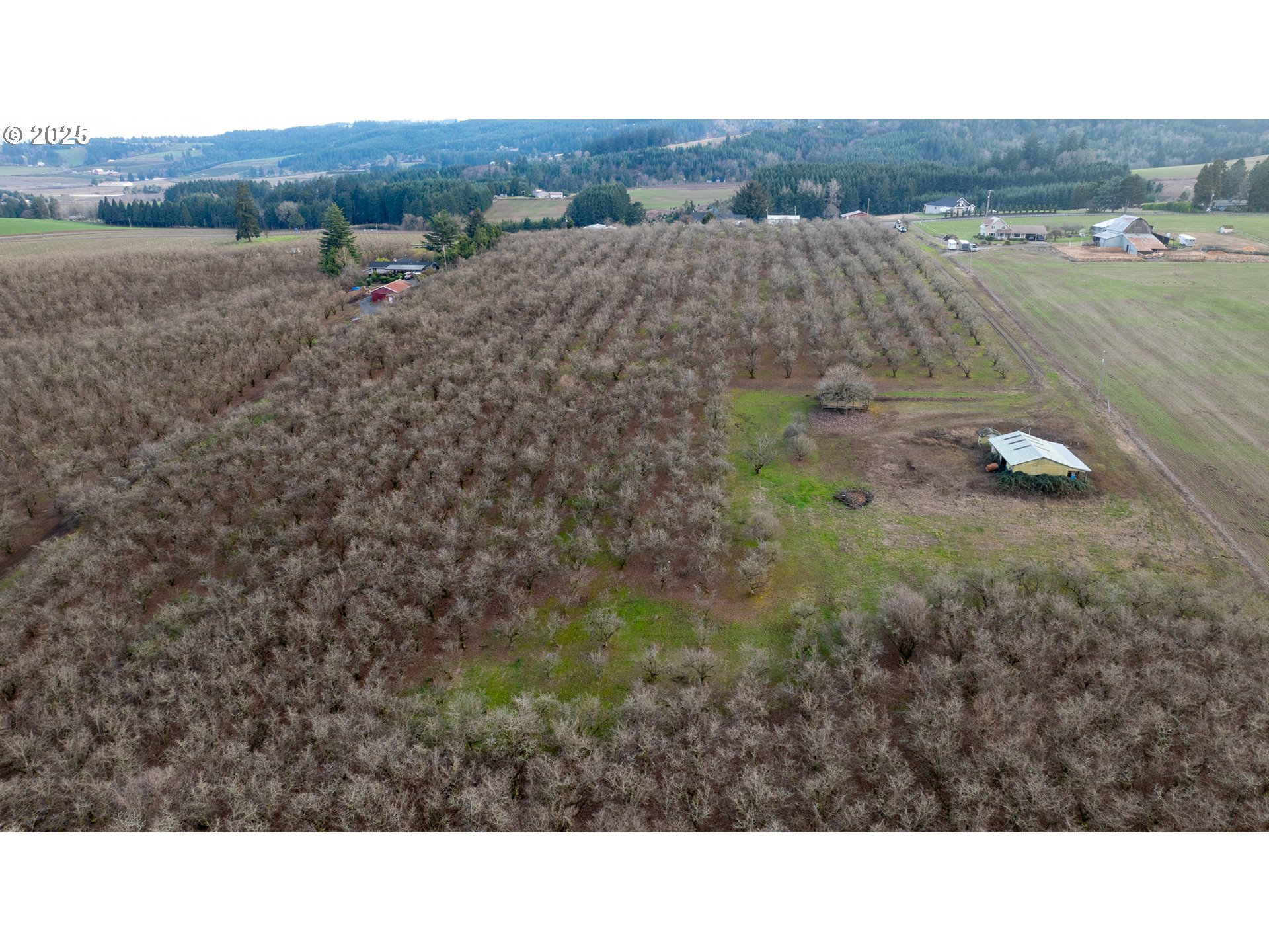 Cornelius, Oregon 97113, United States, ,Residential,Active,98337