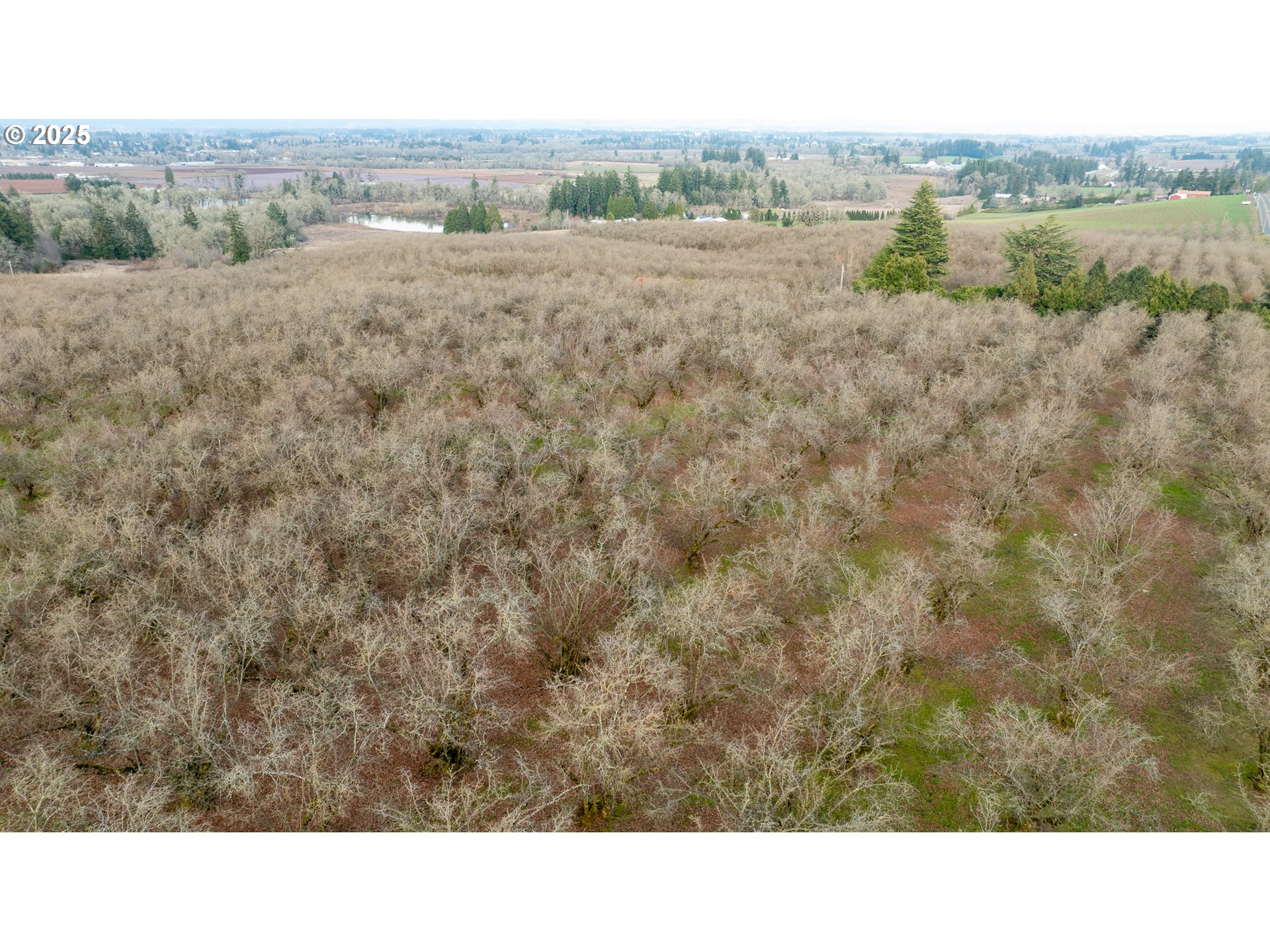 Cornelius, Oregon 97113, United States, ,Residential,Active,98337