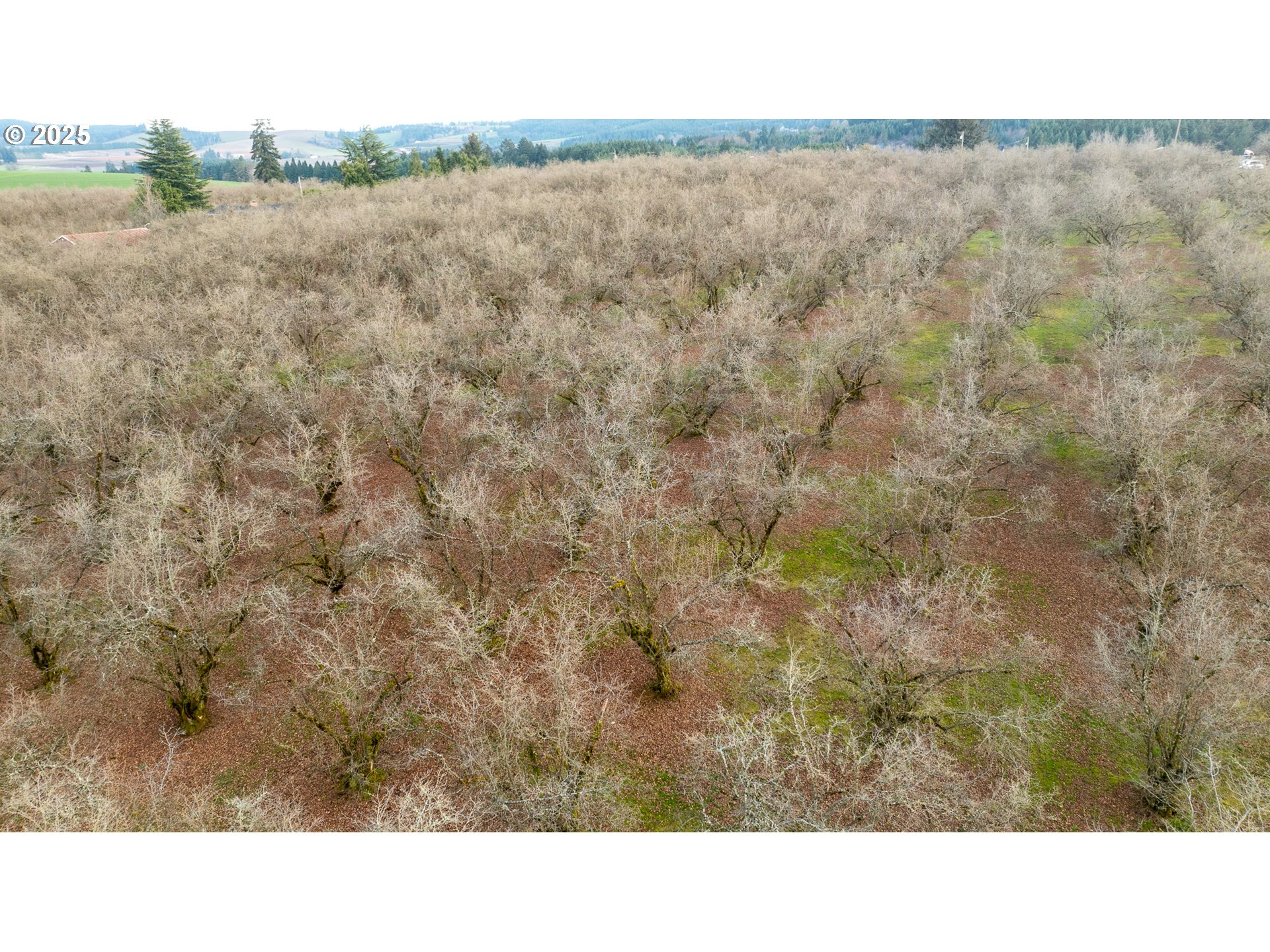 Cornelius, Oregon 97113, United States, ,Residential,Active,98337