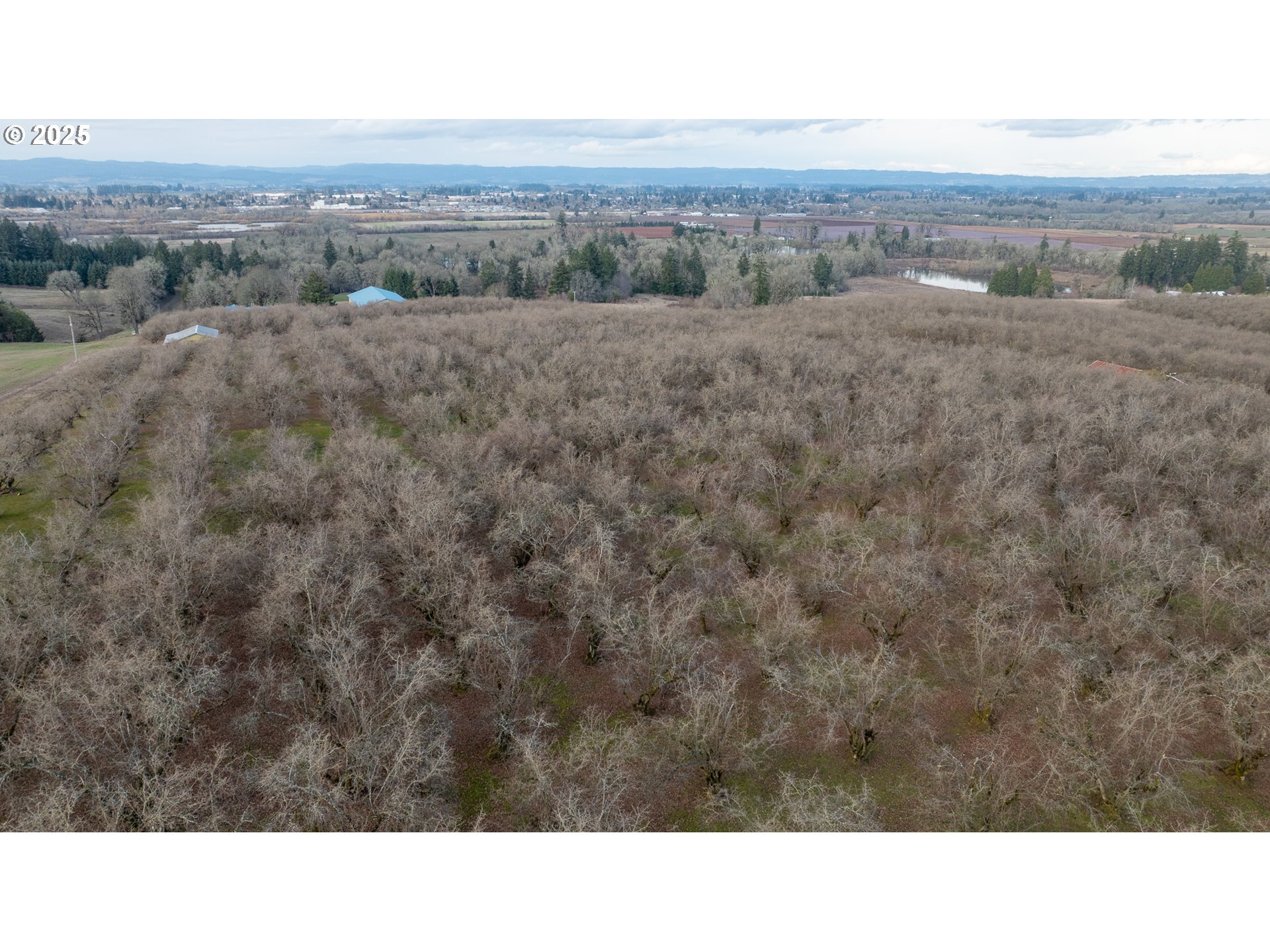 Cornelius, Oregon 97113, United States, ,Residential,Active,98337