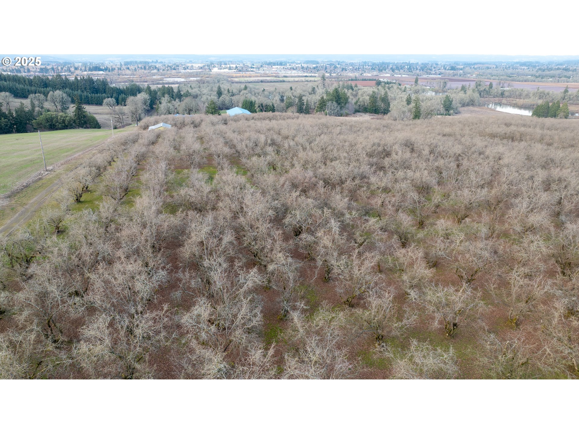 Cornelius, Oregon 97113, United States, ,Residential,Active,98337