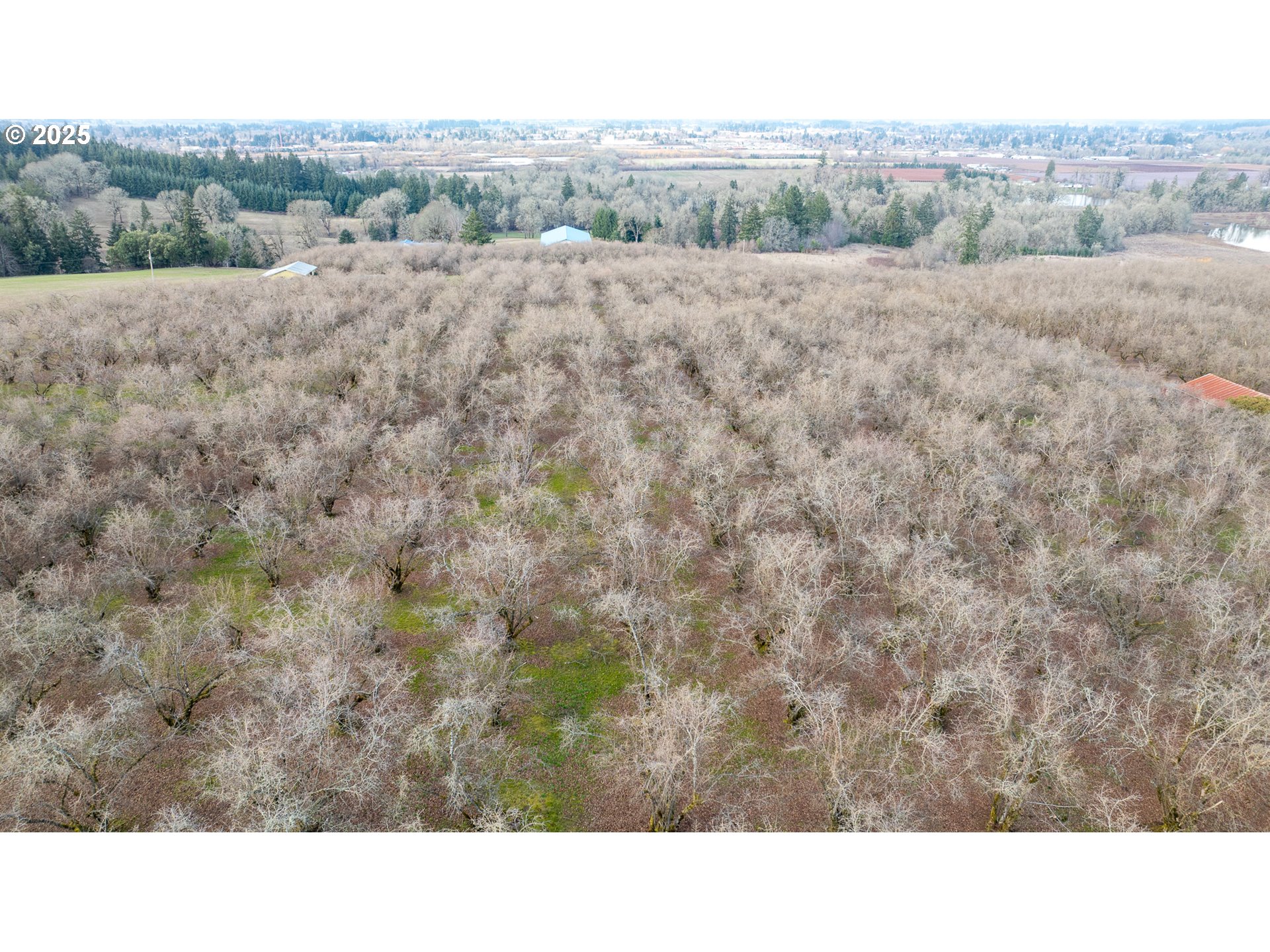 Cornelius, Oregon 97113, United States, ,Residential,Active,98337