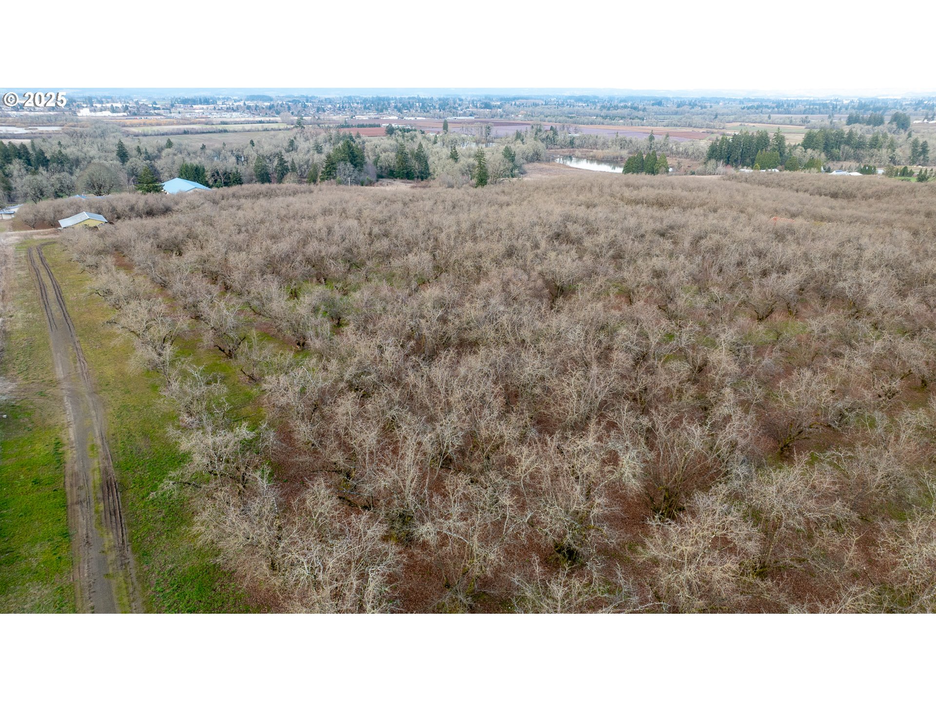 Cornelius, Oregon 97113, United States, ,Residential,Active,98337