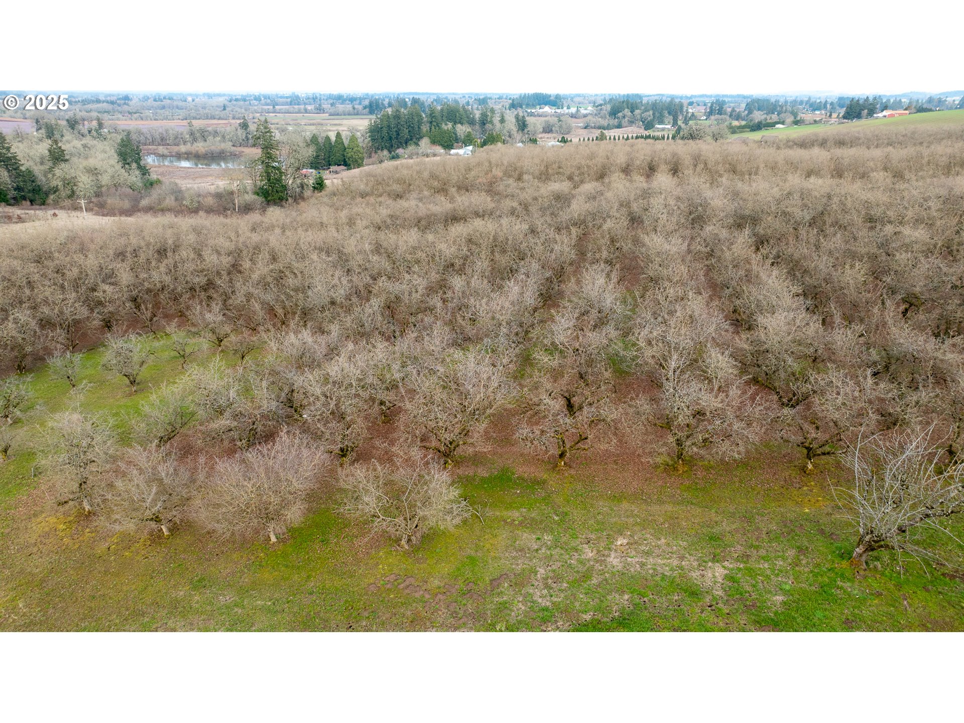 Cornelius, Oregon 97113, United States, ,Residential,Active,98337