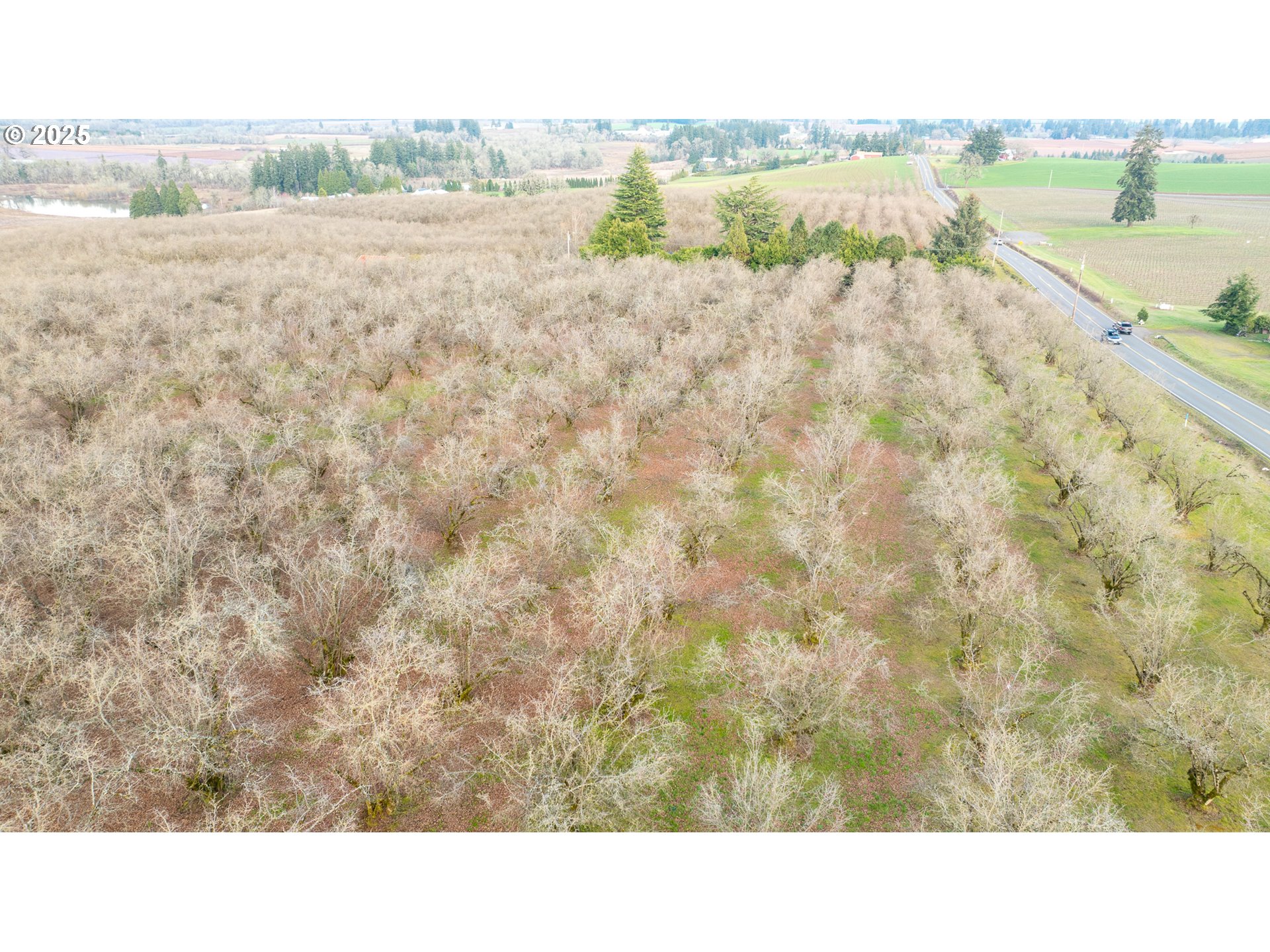 Cornelius, Oregon 97113, United States, ,Residential,Active,98337