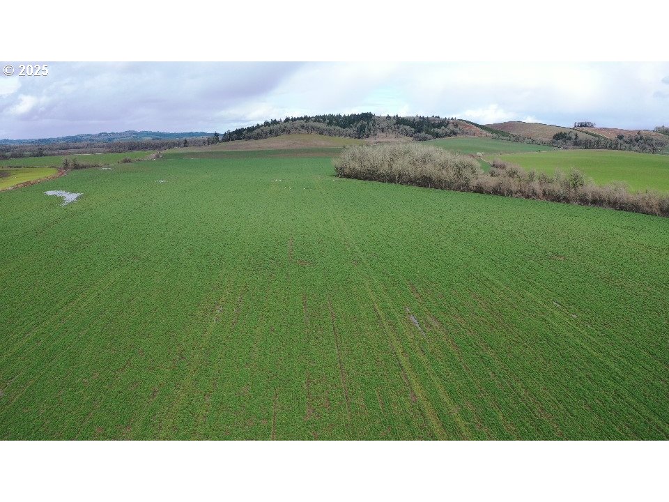 Monmouth, Oregon 97361, United States, ,Residential,Active,93505