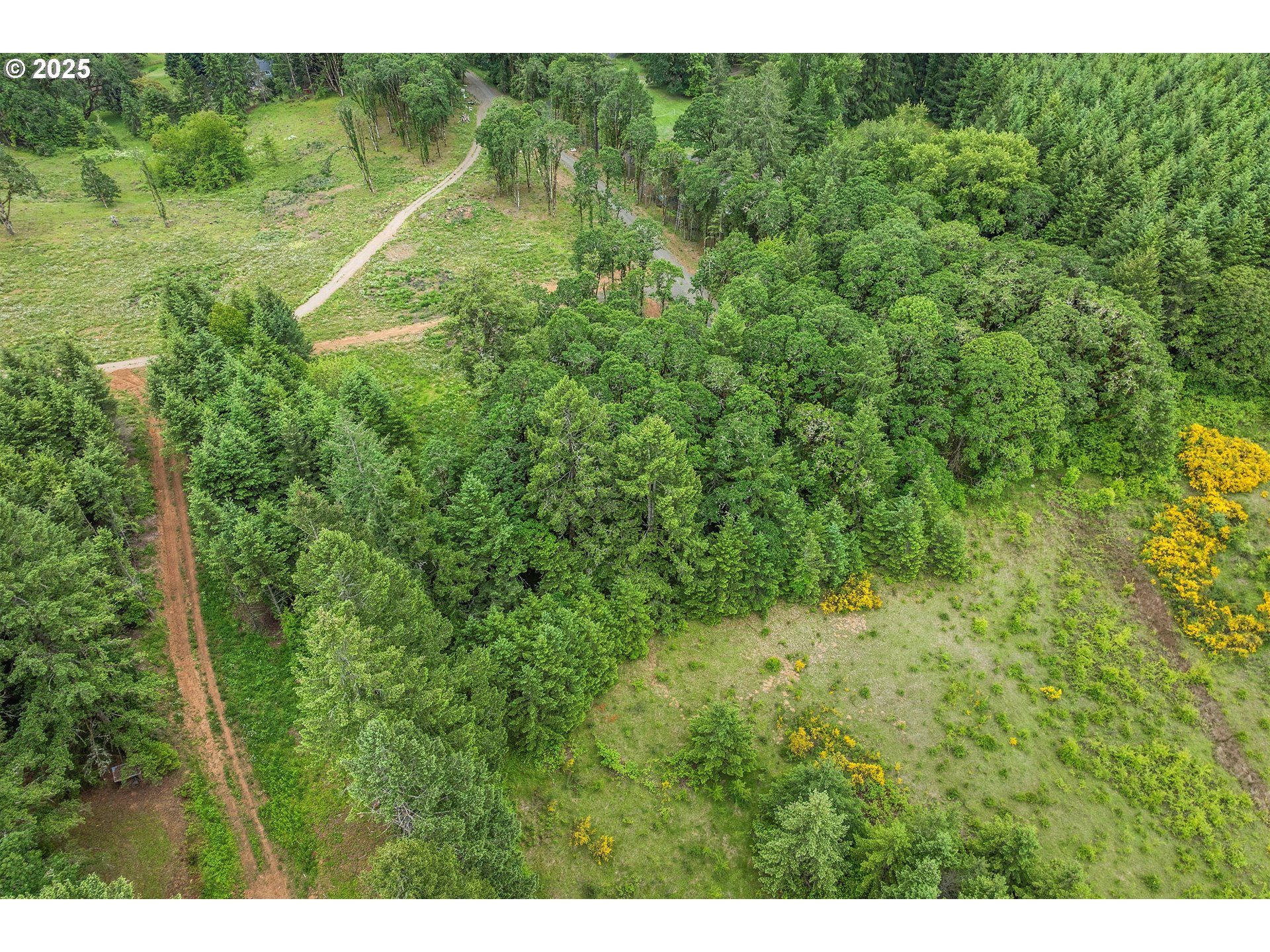 McMinnville, Oregon 97128, United States, ,Land,Active,139029