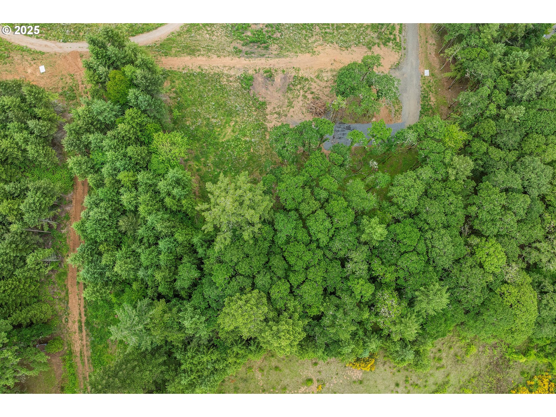 McMinnville, Oregon 97128, United States, ,Land,Active,139029