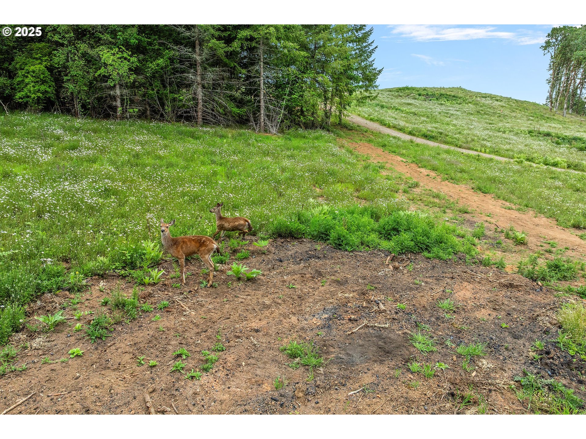 McMinnville, Oregon 97128, United States, ,Land,Active,139029