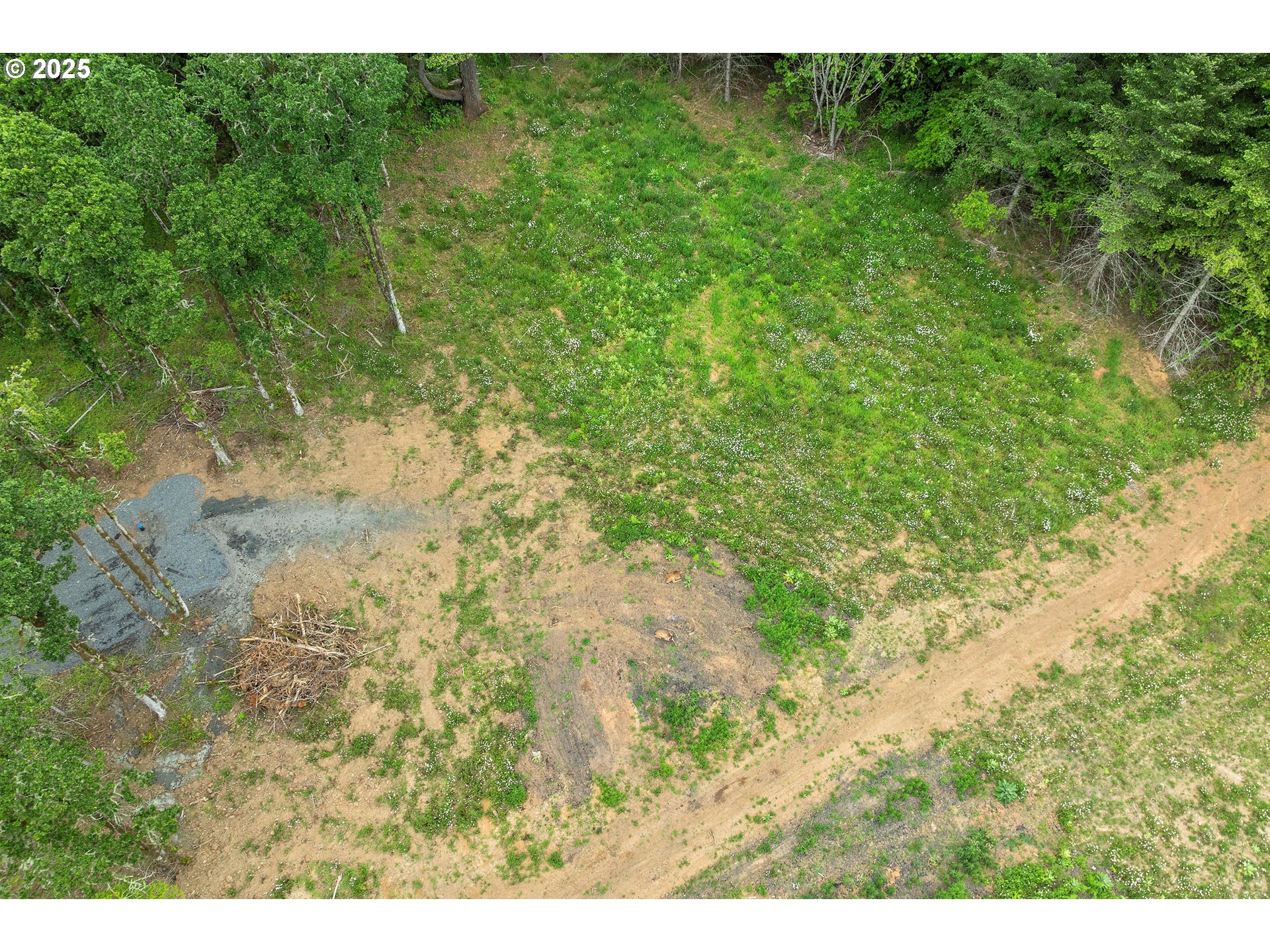 McMinnville, Oregon 97128, United States, ,Land,Active,139029