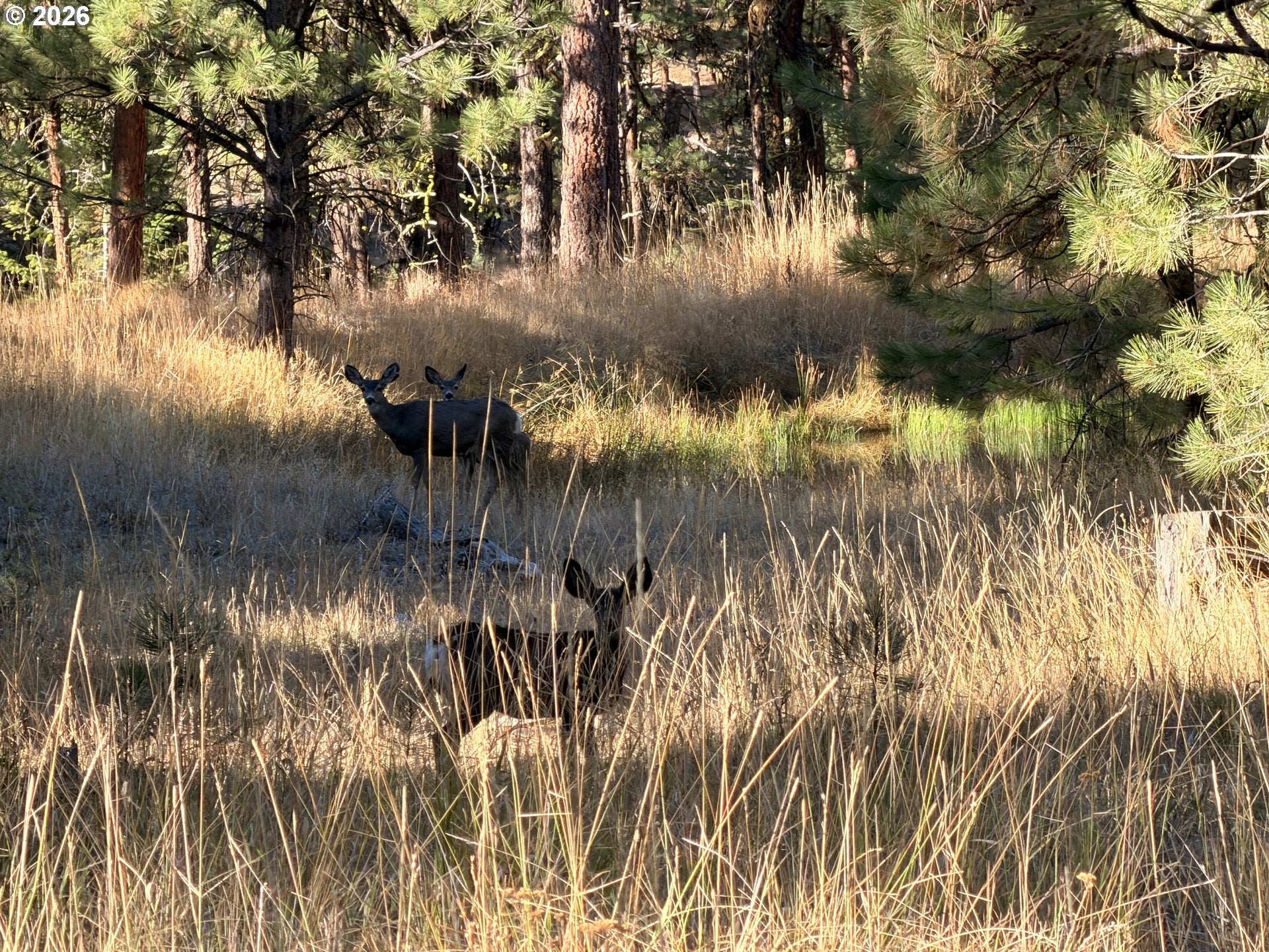 0 Hwy 395