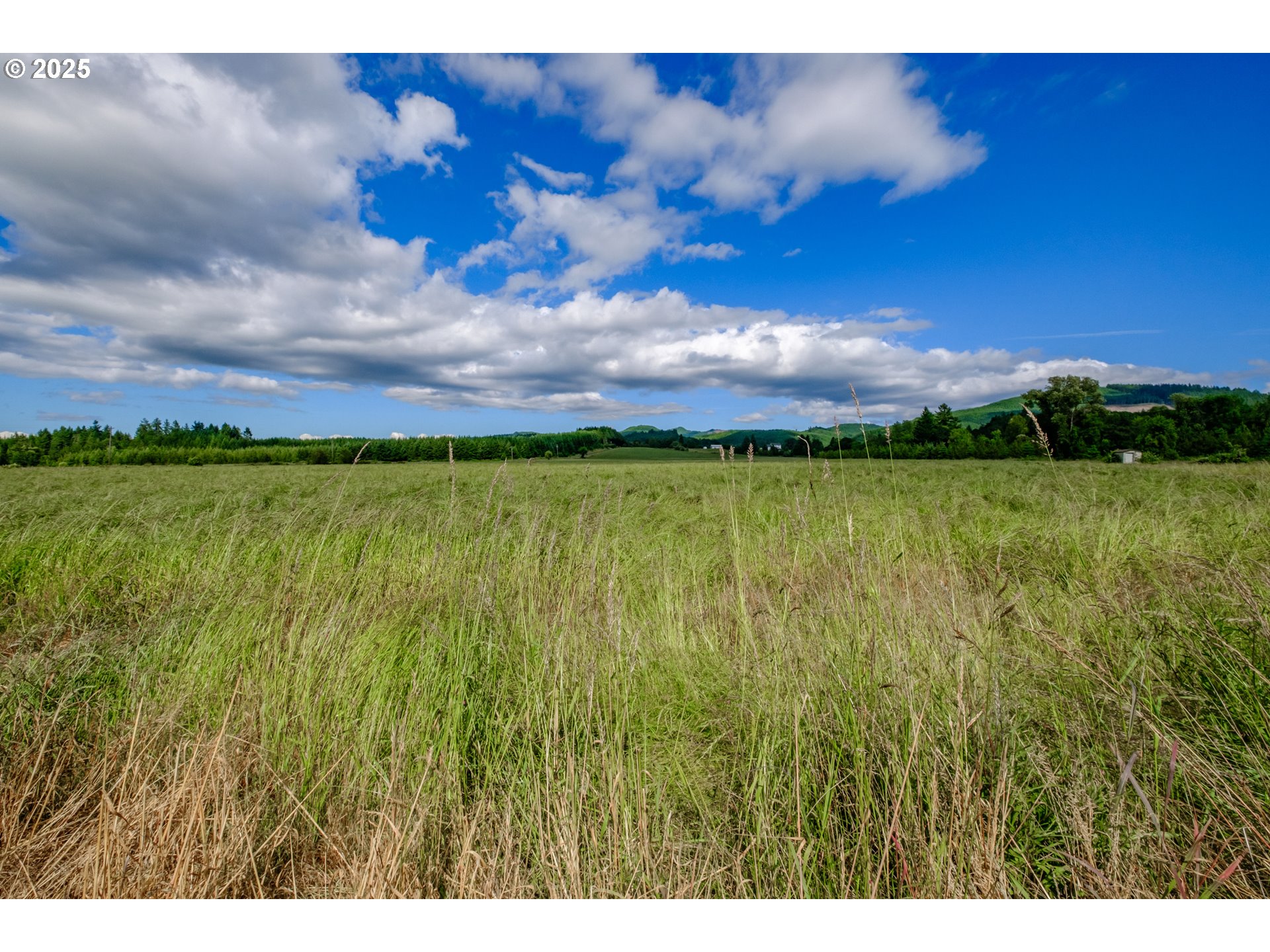 Philomath, Oregon 97370, United States, ,Residential,Active,119155