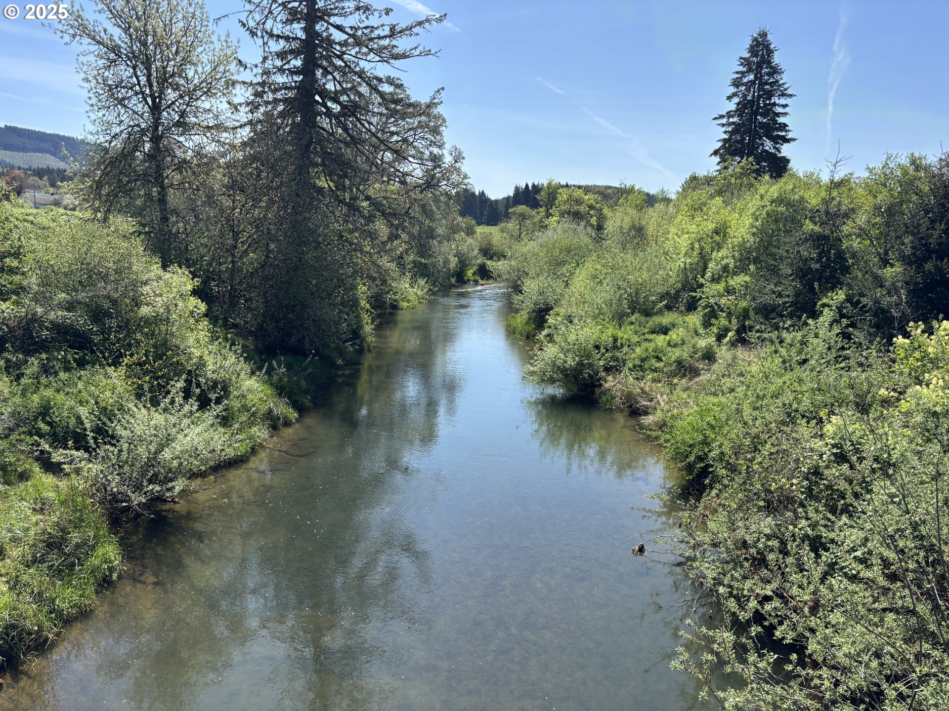 Philomath, Oregon 97370, United States, ,Residential,Active,119155