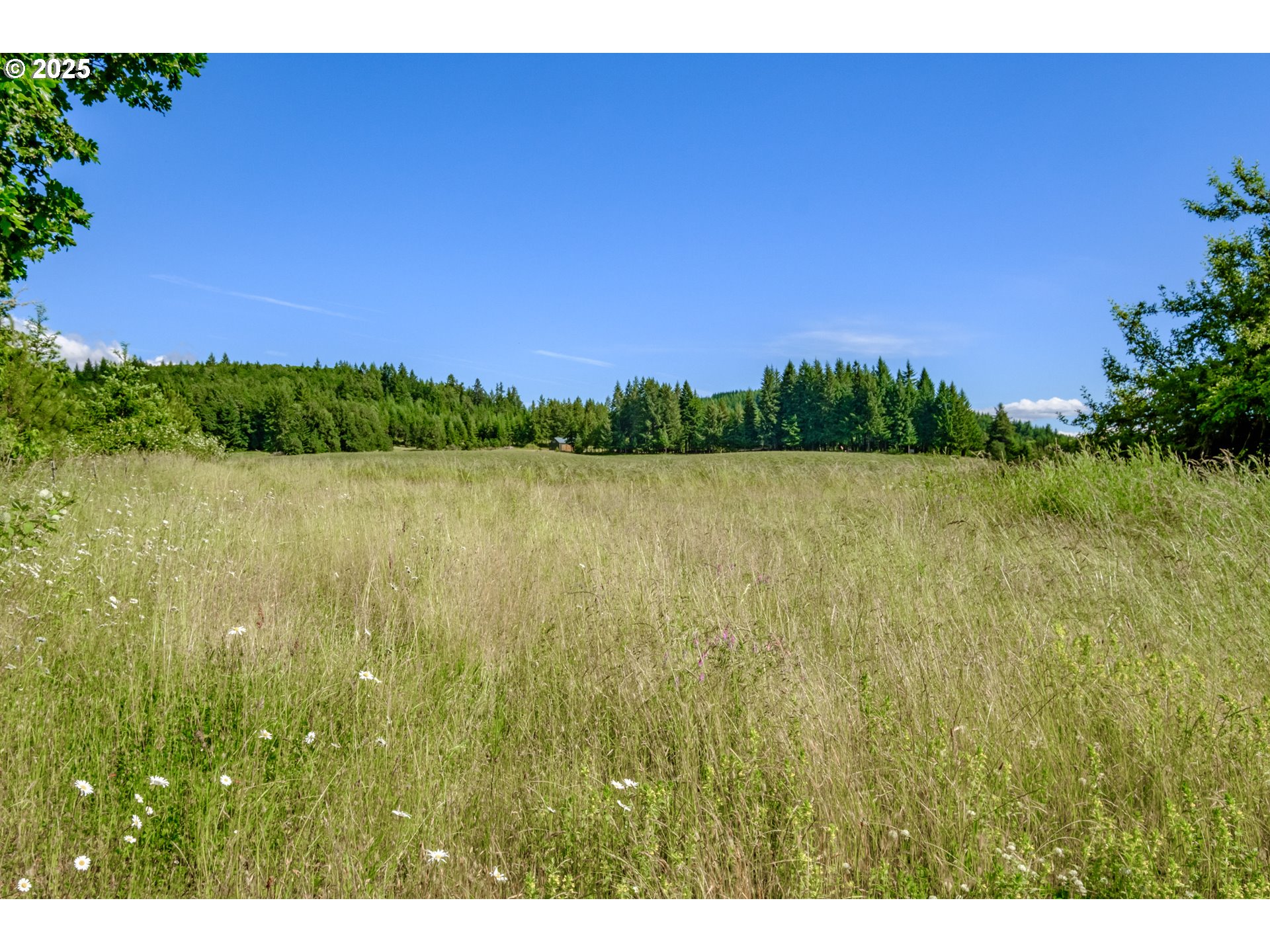 Philomath, Oregon 97370, United States, ,Residential,Active,119155