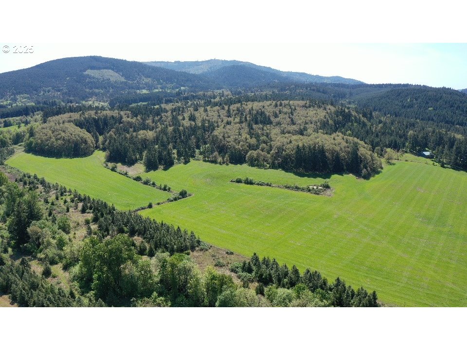 Philomath, Oregon 97370, United States, ,Residential,Active,119155