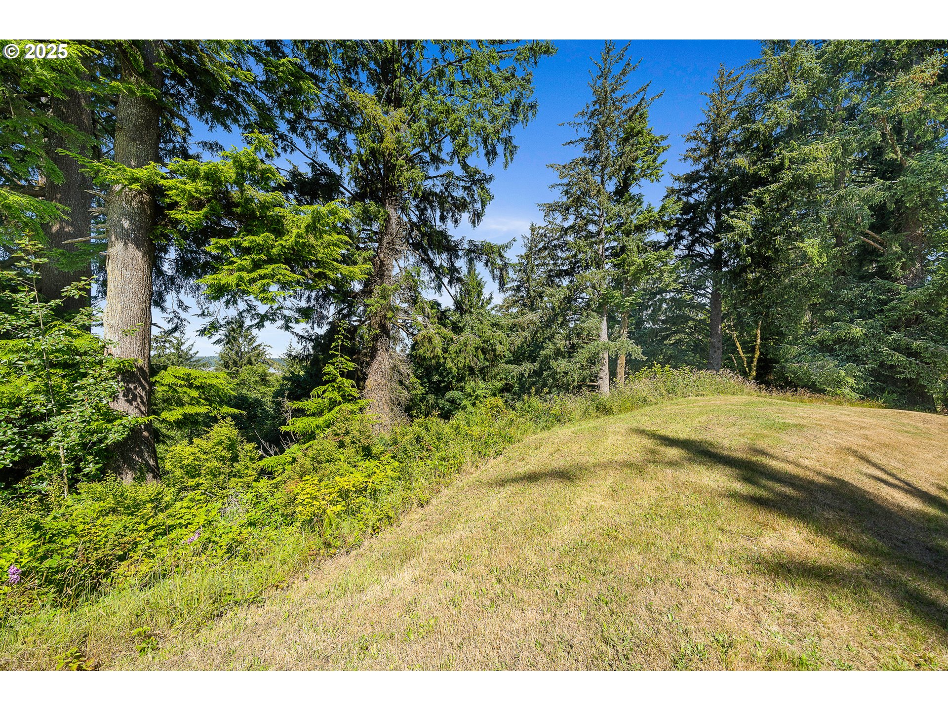 Nehalem Point Dr TL 2000