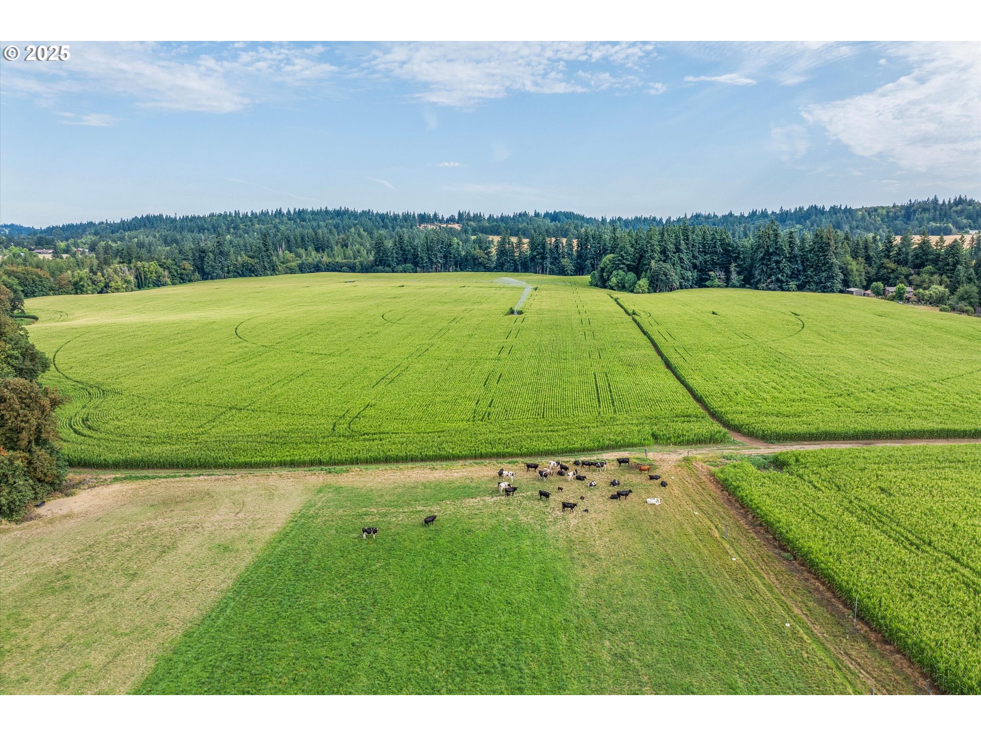 Oregon City, Oregon 97045, United States, 5 Bedrooms Bedrooms, ,1 BathroomBathrooms,Residential,Active,188617