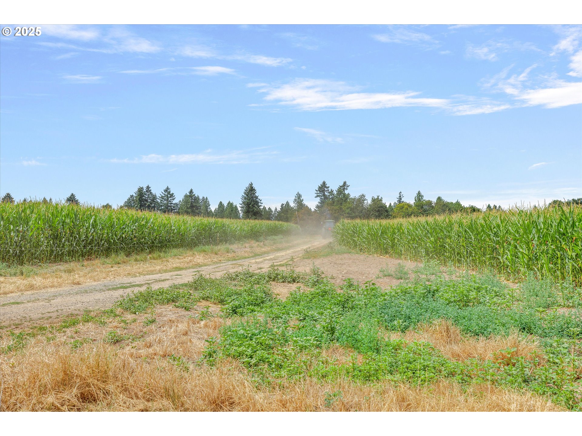 Oregon City, Oregon 97045, United States, 5 Bedrooms Bedrooms, ,1 BathroomBathrooms,Residential,Active,188617