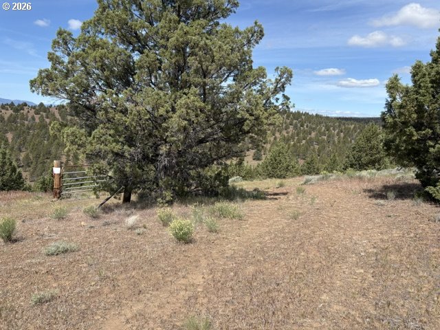 WILEY CREEK ROAD