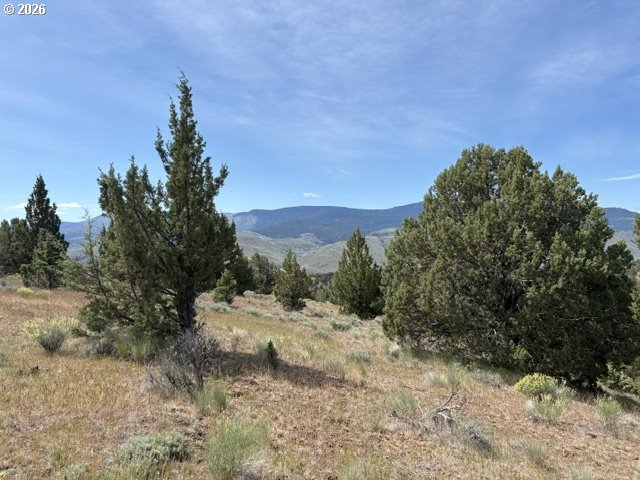 WILEY CREEK ROAD