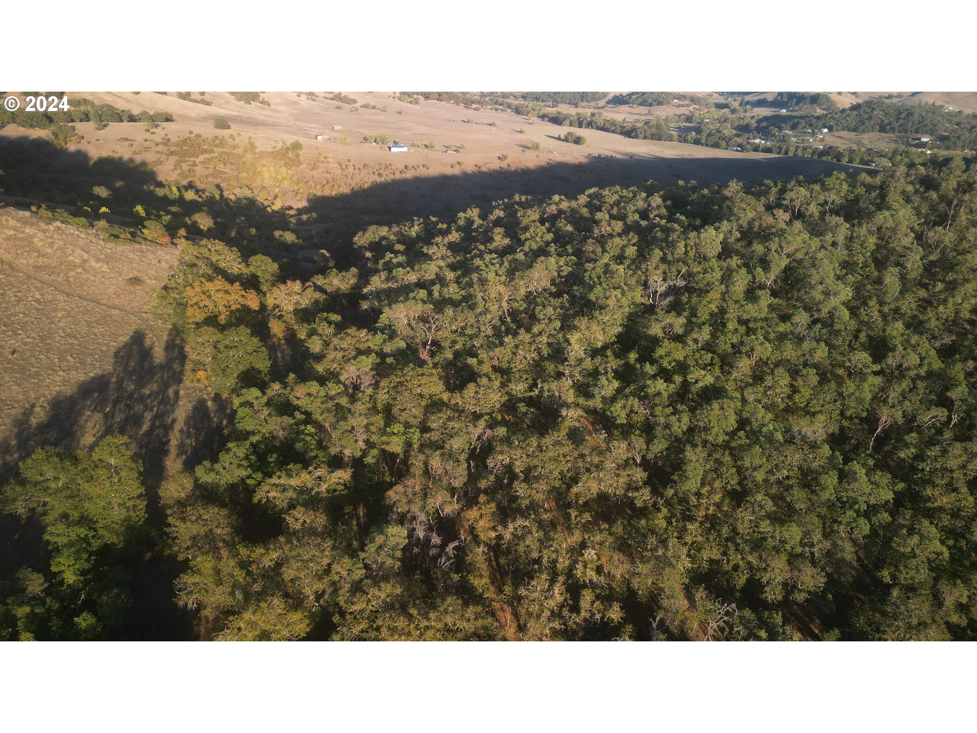 Roseburg, Oregon 97471, United States, ,Residential,Active,39234