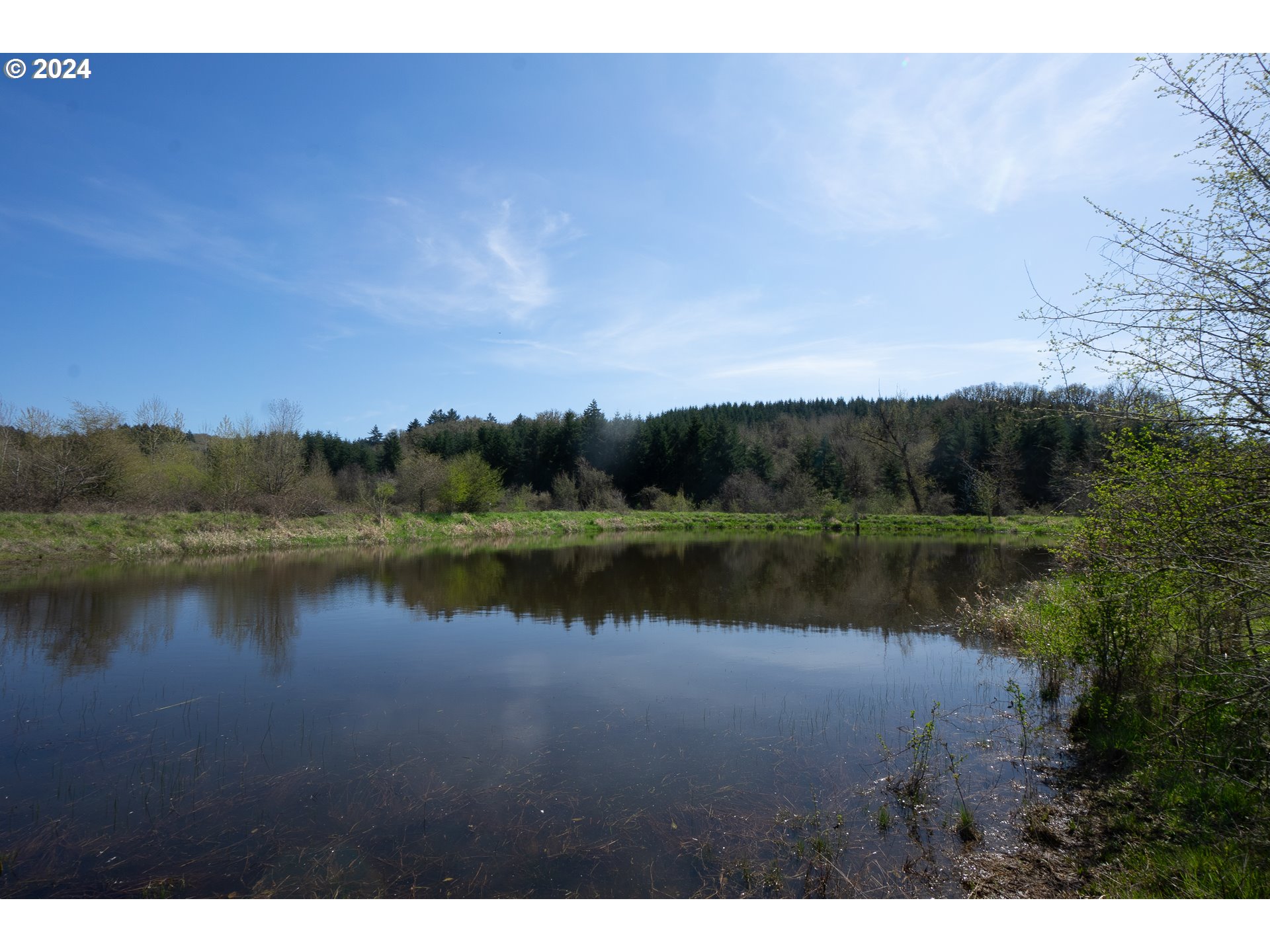 Dallas, Oregon 97338, United States, ,Residential,Active,61364