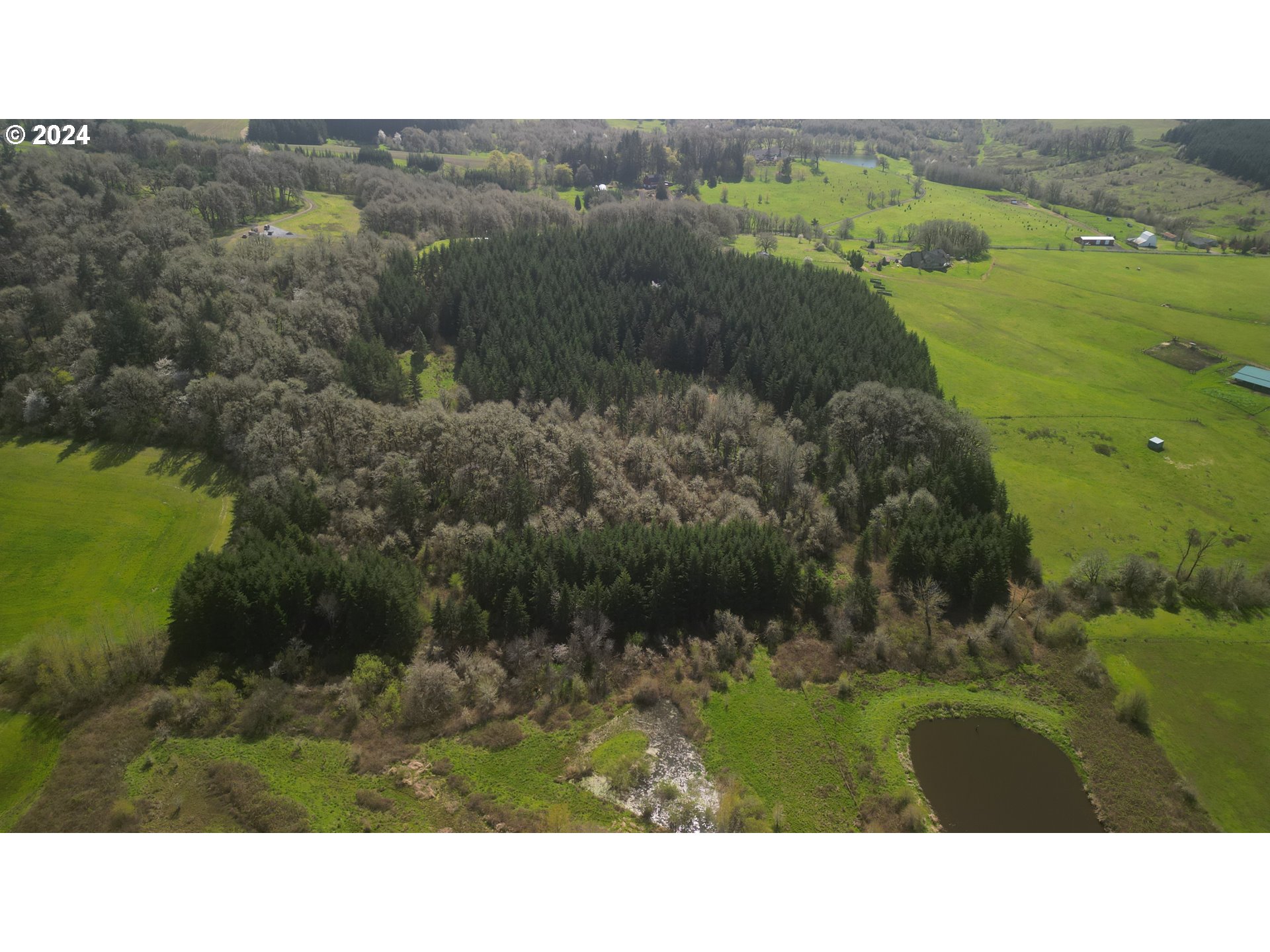 Dallas, Oregon 97338, United States, ,Residential,Active,61364