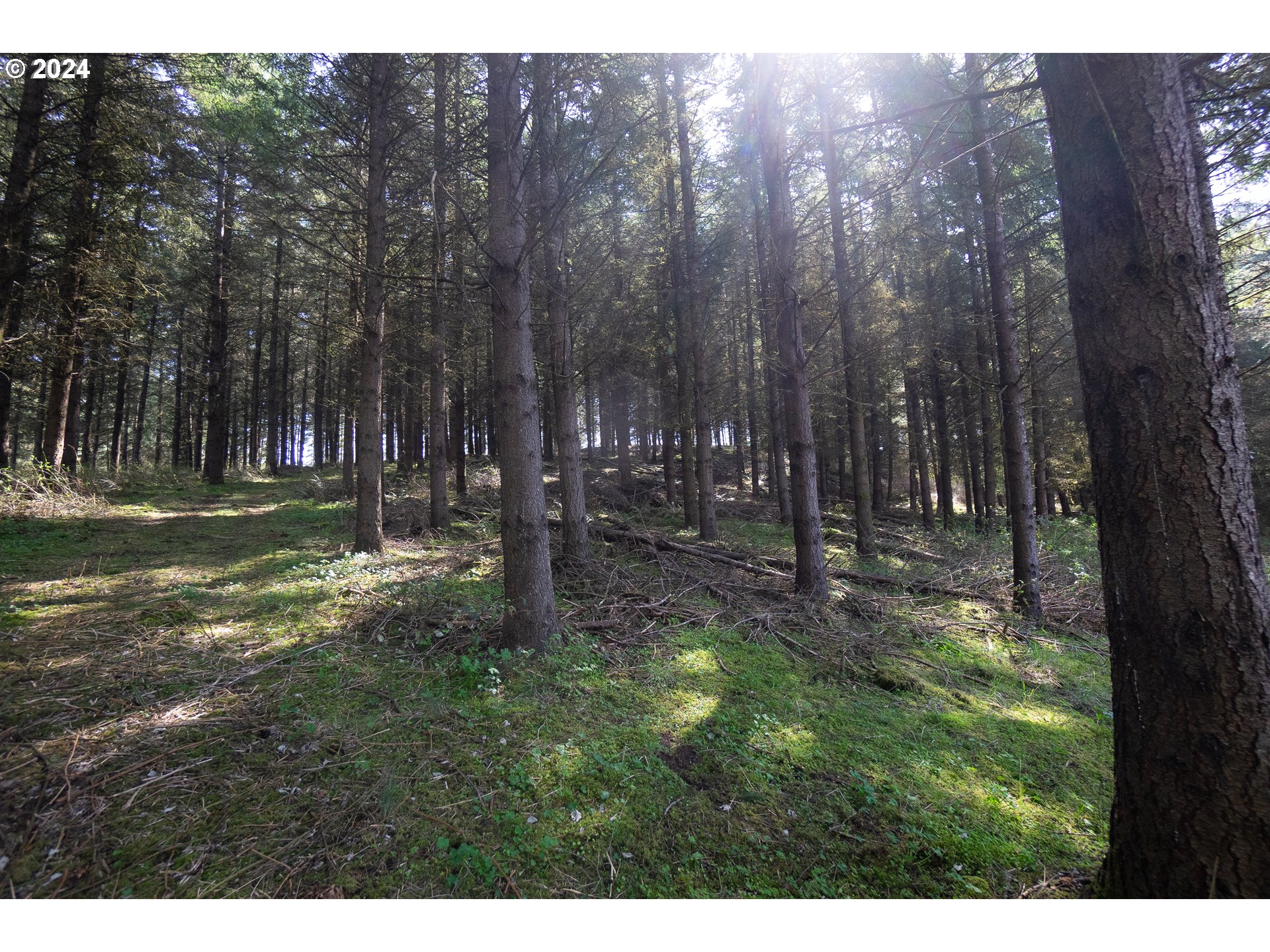 Dallas, Oregon 97338, United States, ,Residential,Active,61364