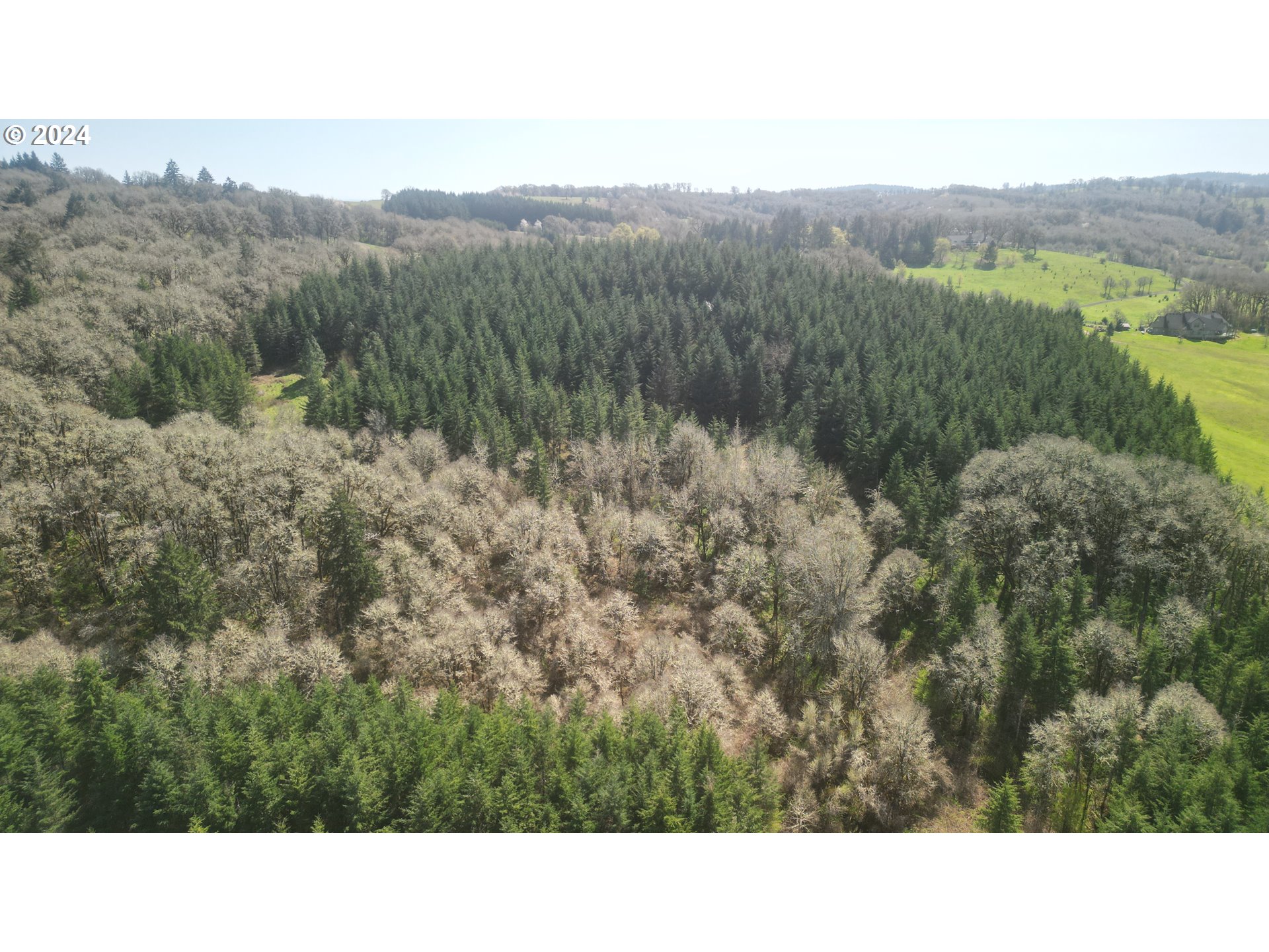 Dallas, Oregon 97338, United States, ,Residential,Active,61364