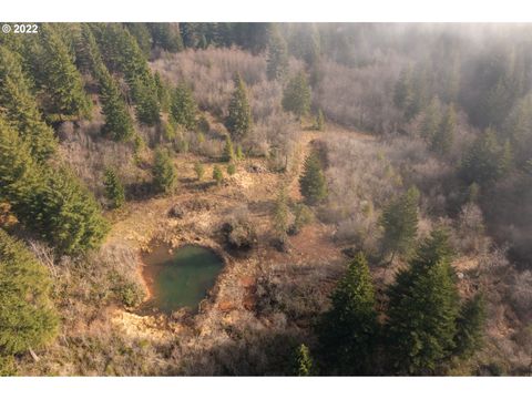 Photo of 31701 NE 86th St, Camas, WA 98607 (MLS # 22581298)