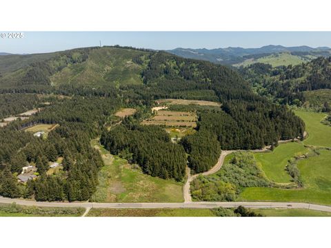 87503 UPPER FOURMILE LN Bandon OR 97411