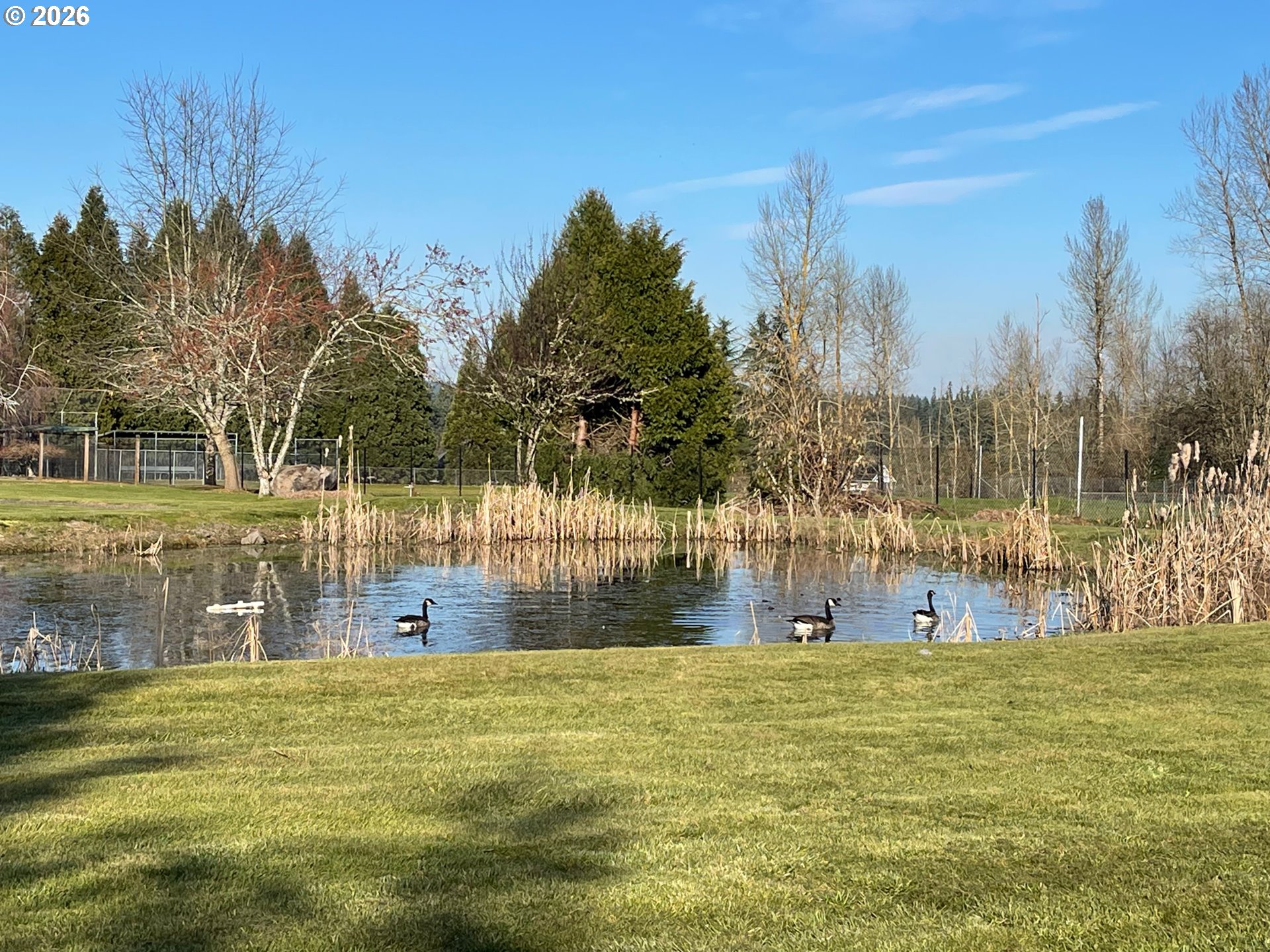 18214 S BROOKSTONE DR