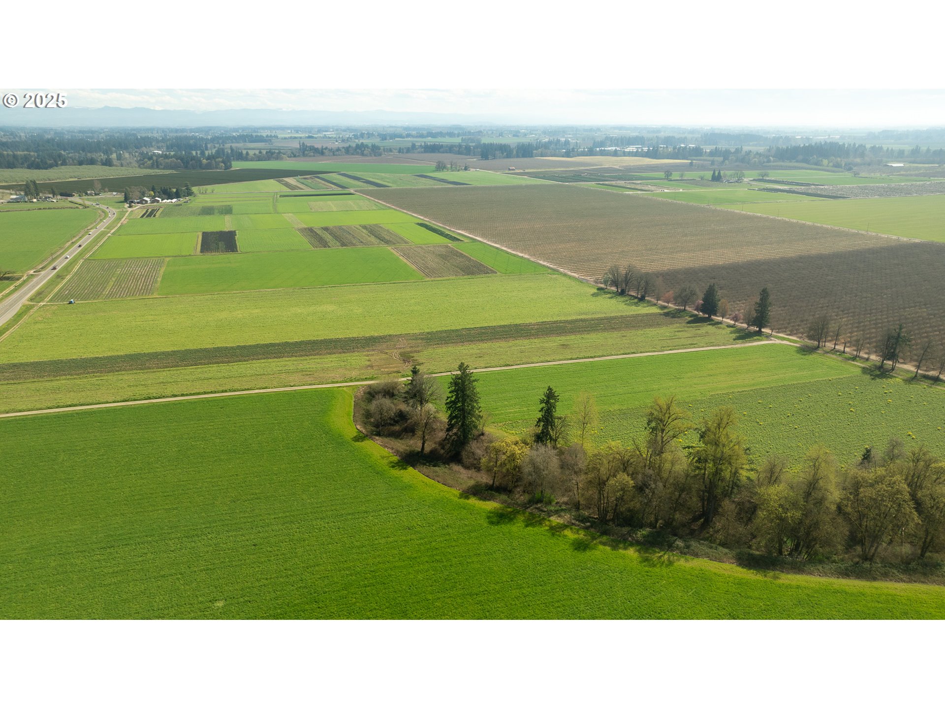 St Paul, Oregon 97137, United States, ,Residential,Pending,161169