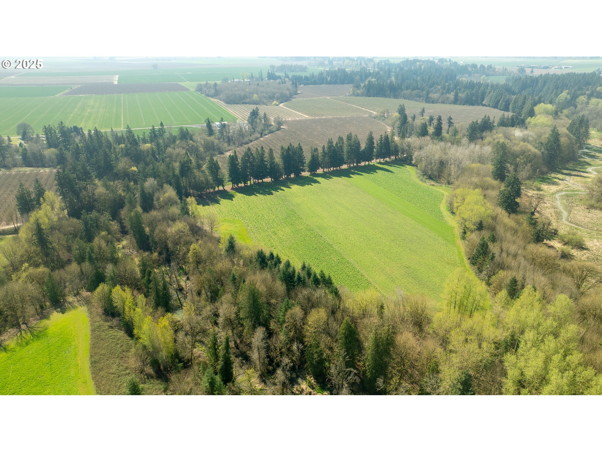 St Paul, Oregon 97137, United States, ,Residential,Pending,161169