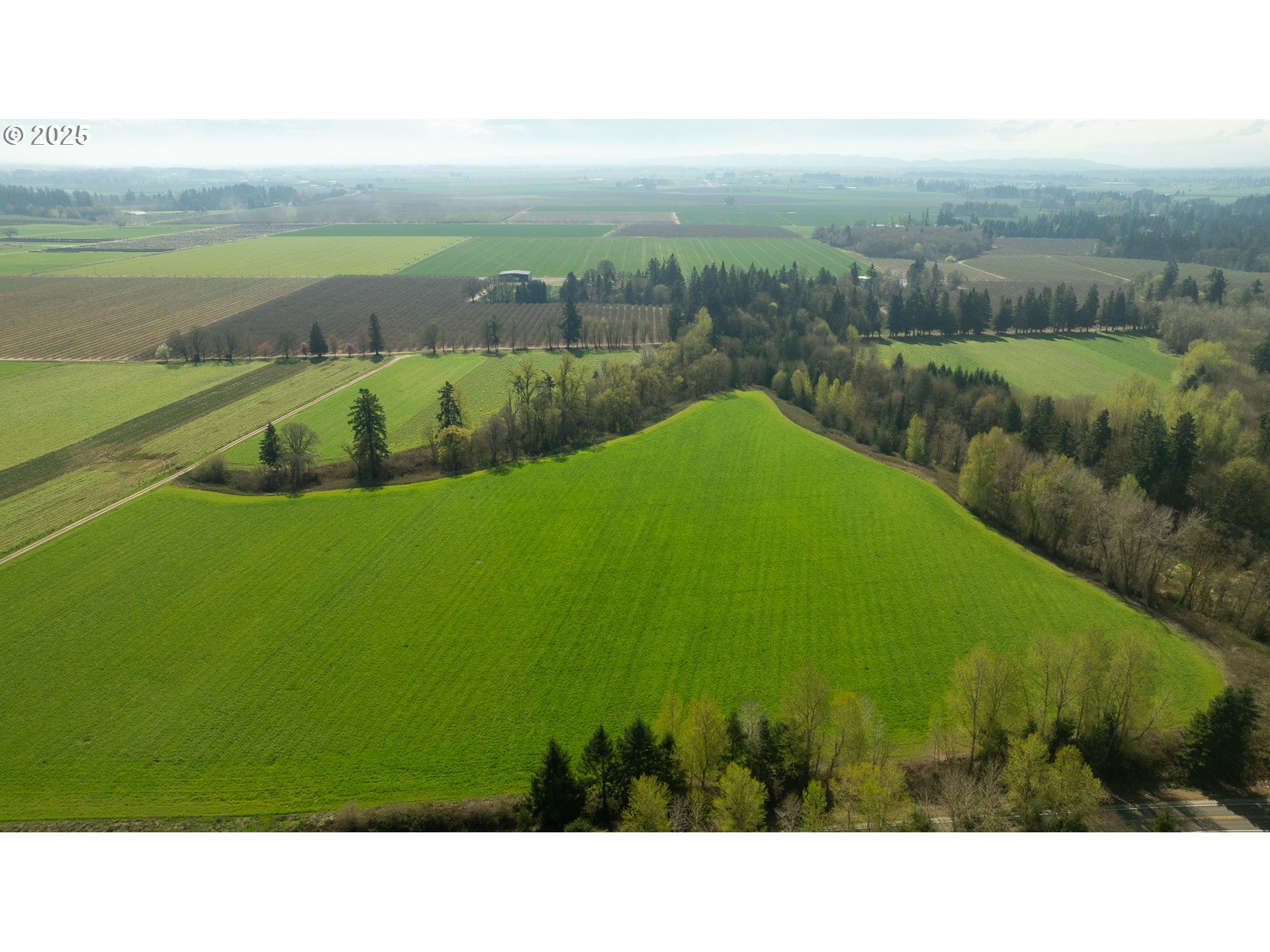 St Paul, Oregon 97137, United States, ,Residential,Pending,161169