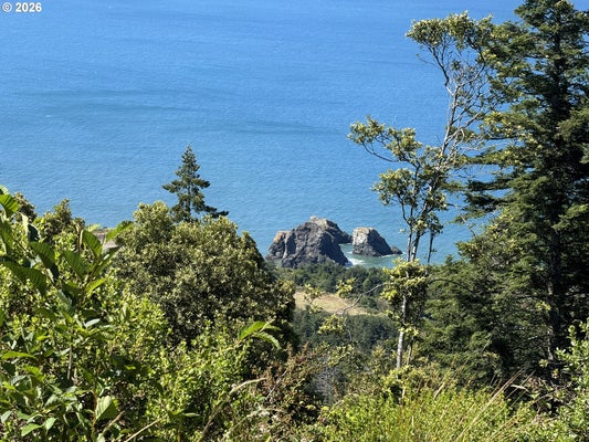 38097 PACIFIC HIGHLANDS DR, PORT ORFORD, OR 97465 - Image e84e980c22e2c76c2796cf81aa4126fa/1754544725