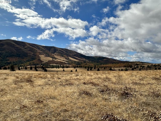 49 RESTFUL HAVEN DR, LYLE, WA 98635 - Image e88b01c5ea98ed15e4eea1348b134d3d/3073954018