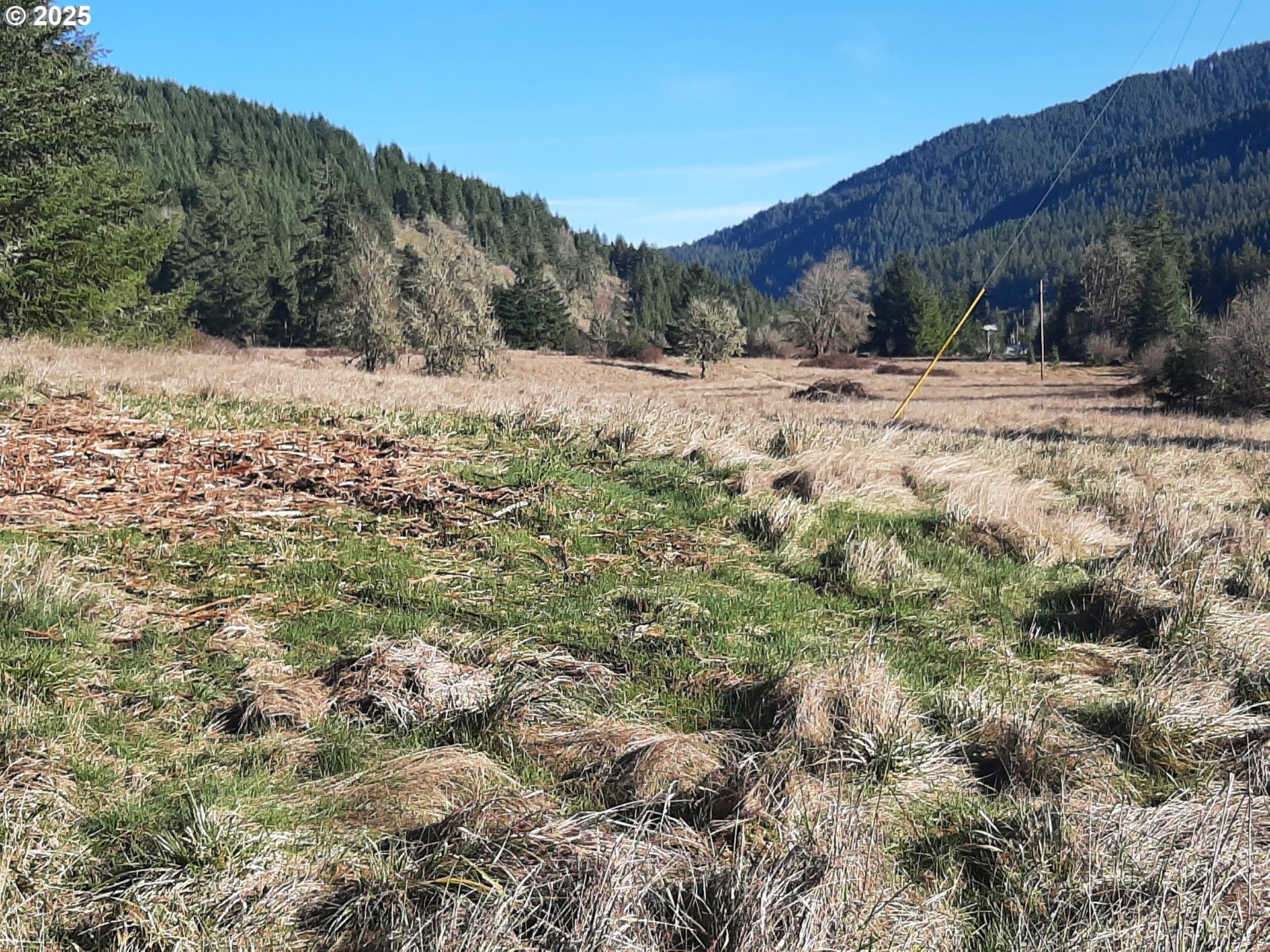 Dorena, Oregon 97434, United States, ,Land,Active,23649