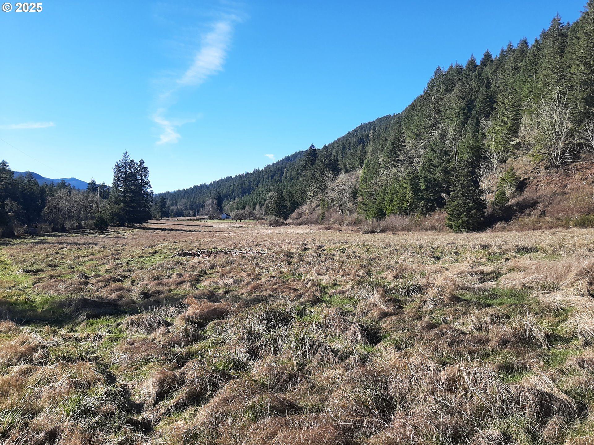 Dorena, Oregon 97434, United States, ,Land,Active,23649