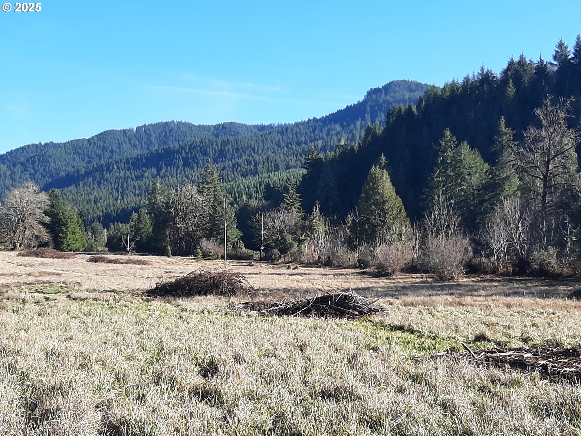 Dorena, Oregon 97434, United States, ,Land,Active,23649