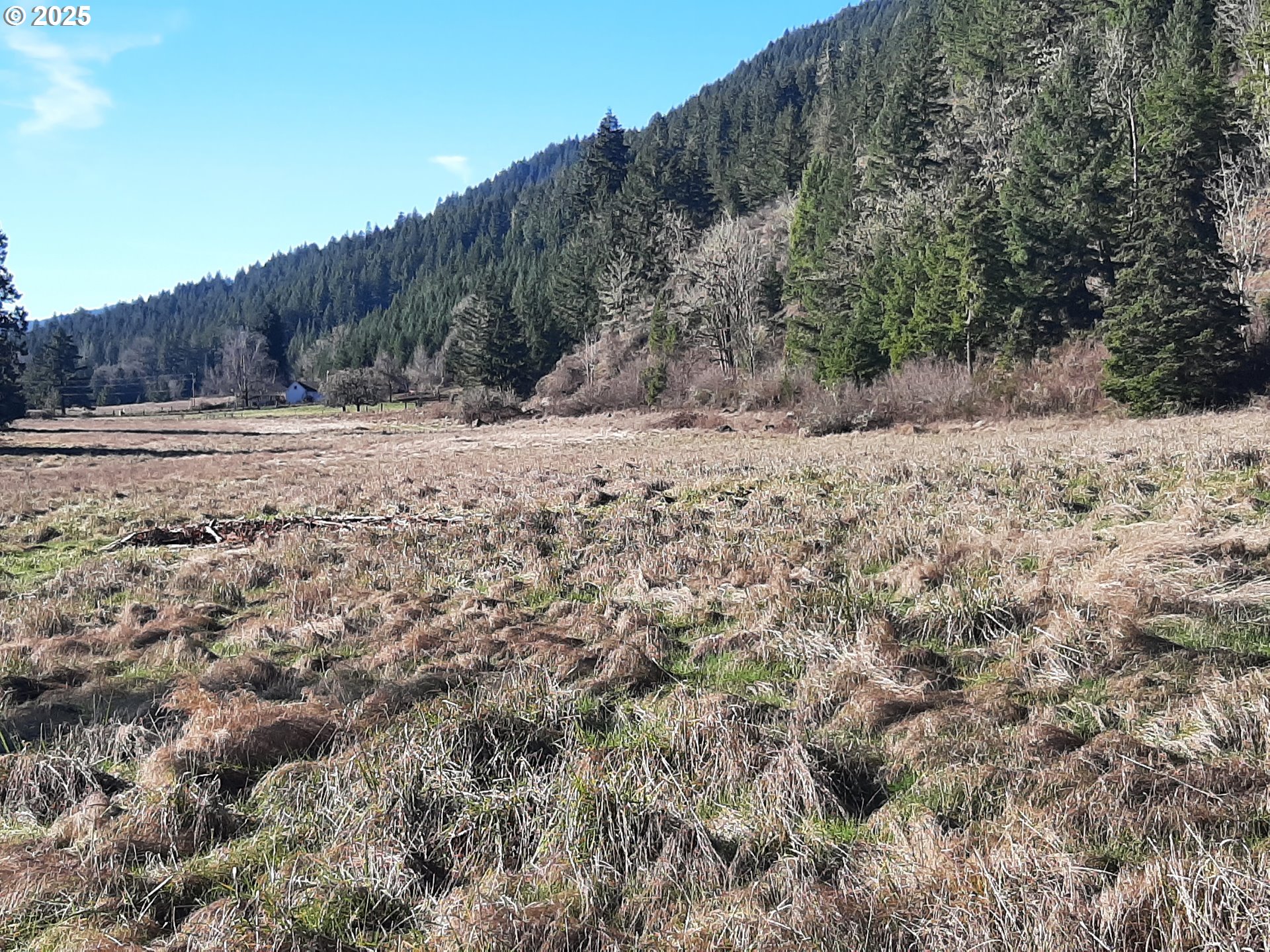 Dorena, Oregon 97434, United States, ,Land,Active,23649