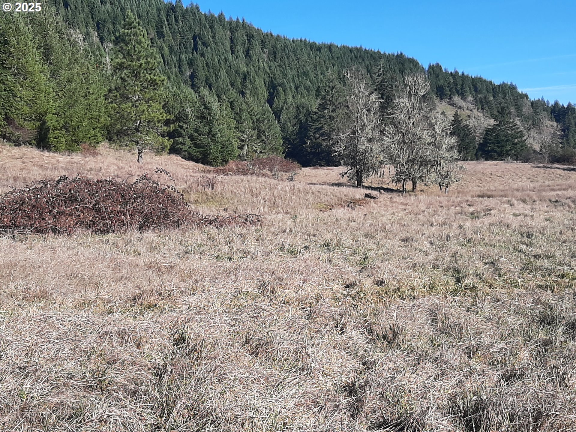 Dorena, Oregon 97434, United States, ,Land,Active,23649