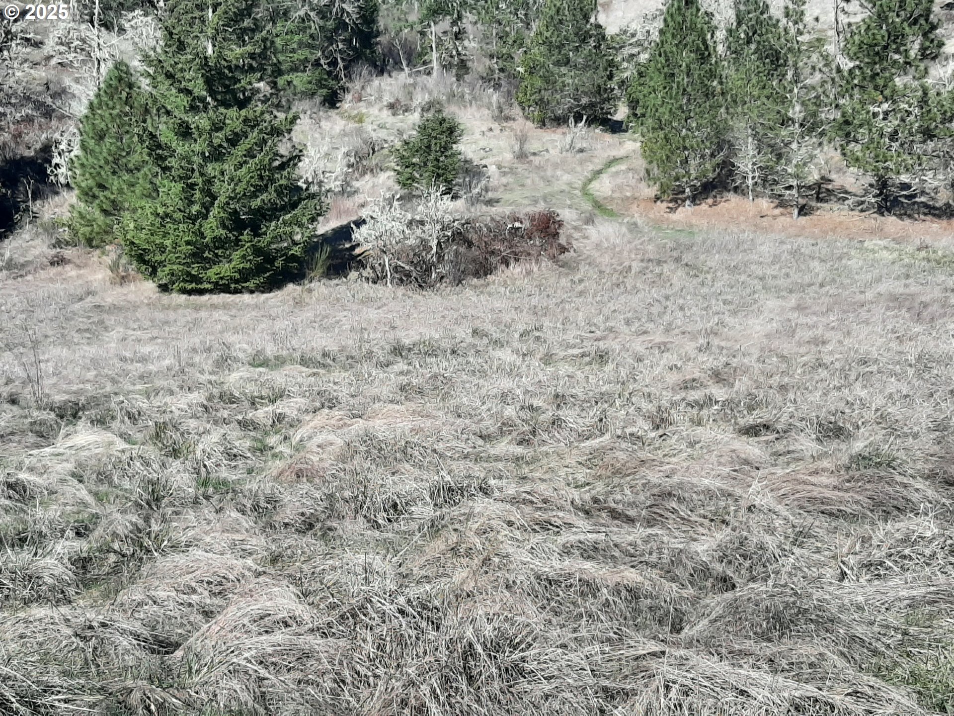 Dorena, Oregon 97434, United States, ,Land,Active,23649